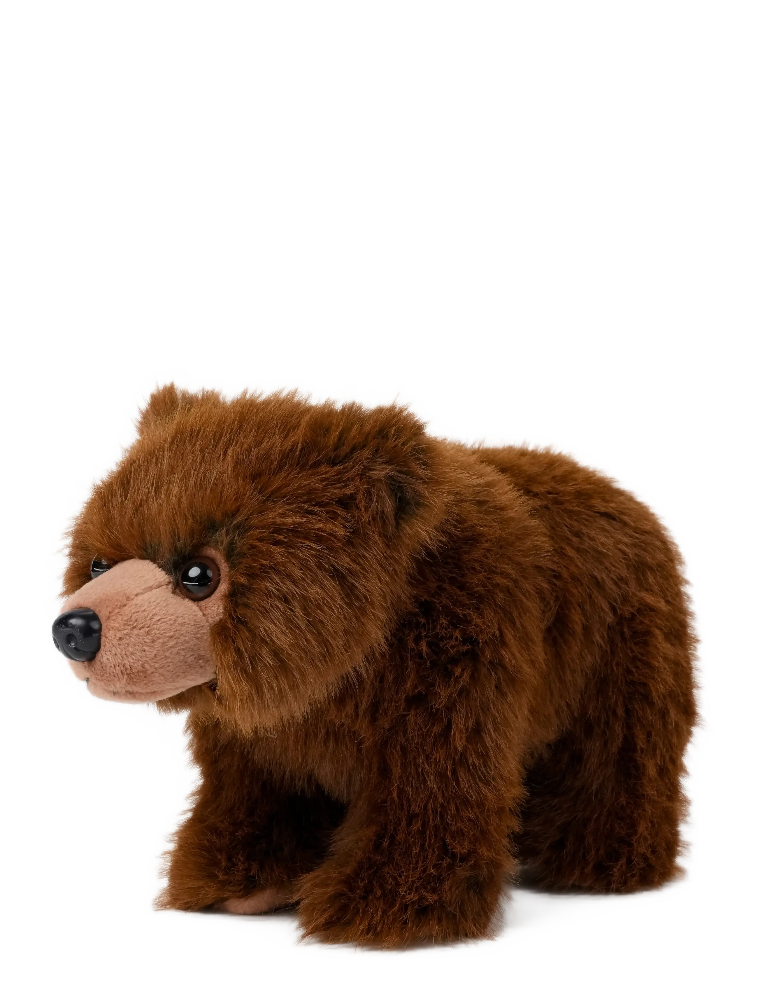 Teddykompaniet - Teddy Forest, Björn - mjukisdjur - brown - 1
