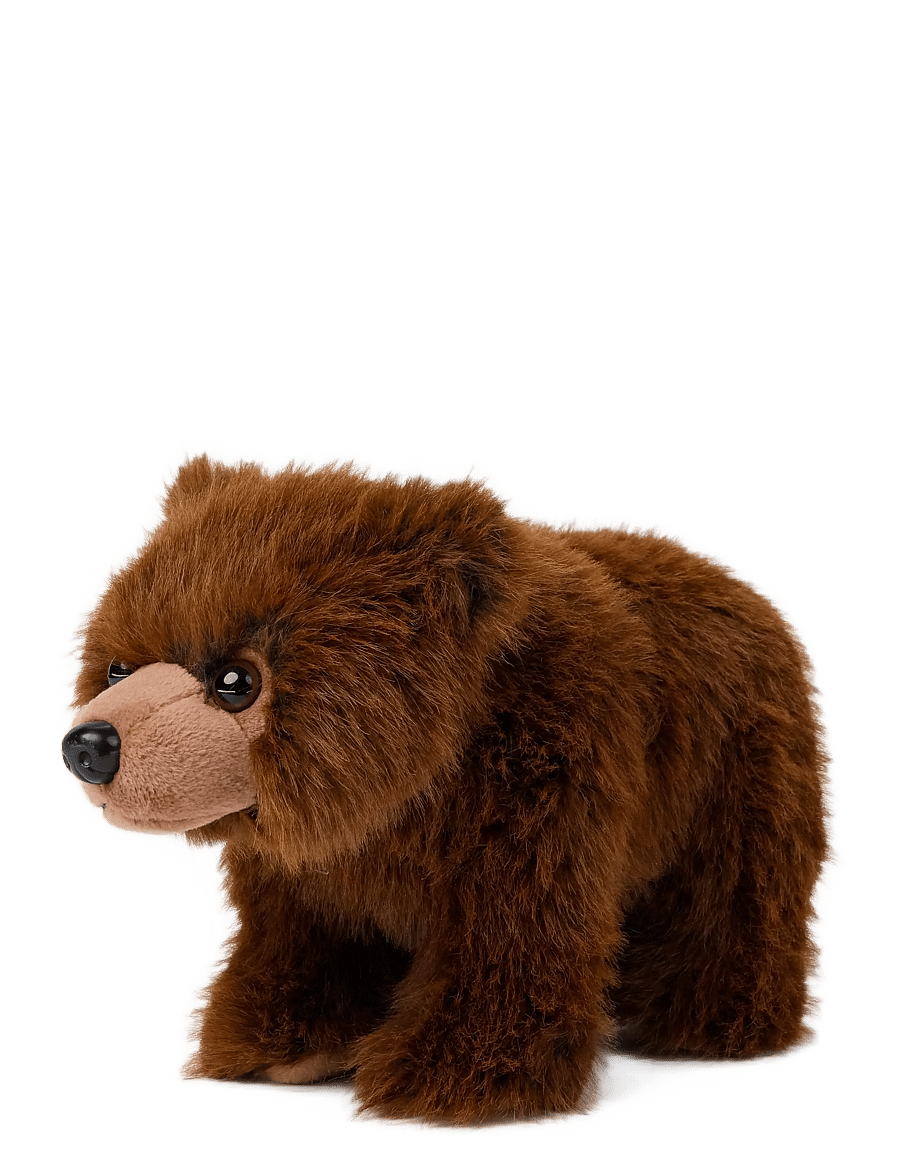 Teddykompaniet - Teddy Forest, Björn - mjukisdjur - brown - 1