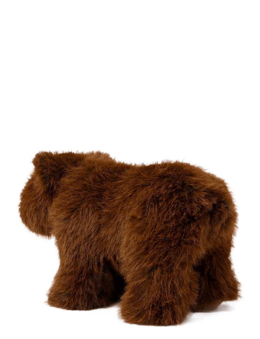 Teddykompaniet - Teddy Forest, Björn - mjukisdjur - brown - 2