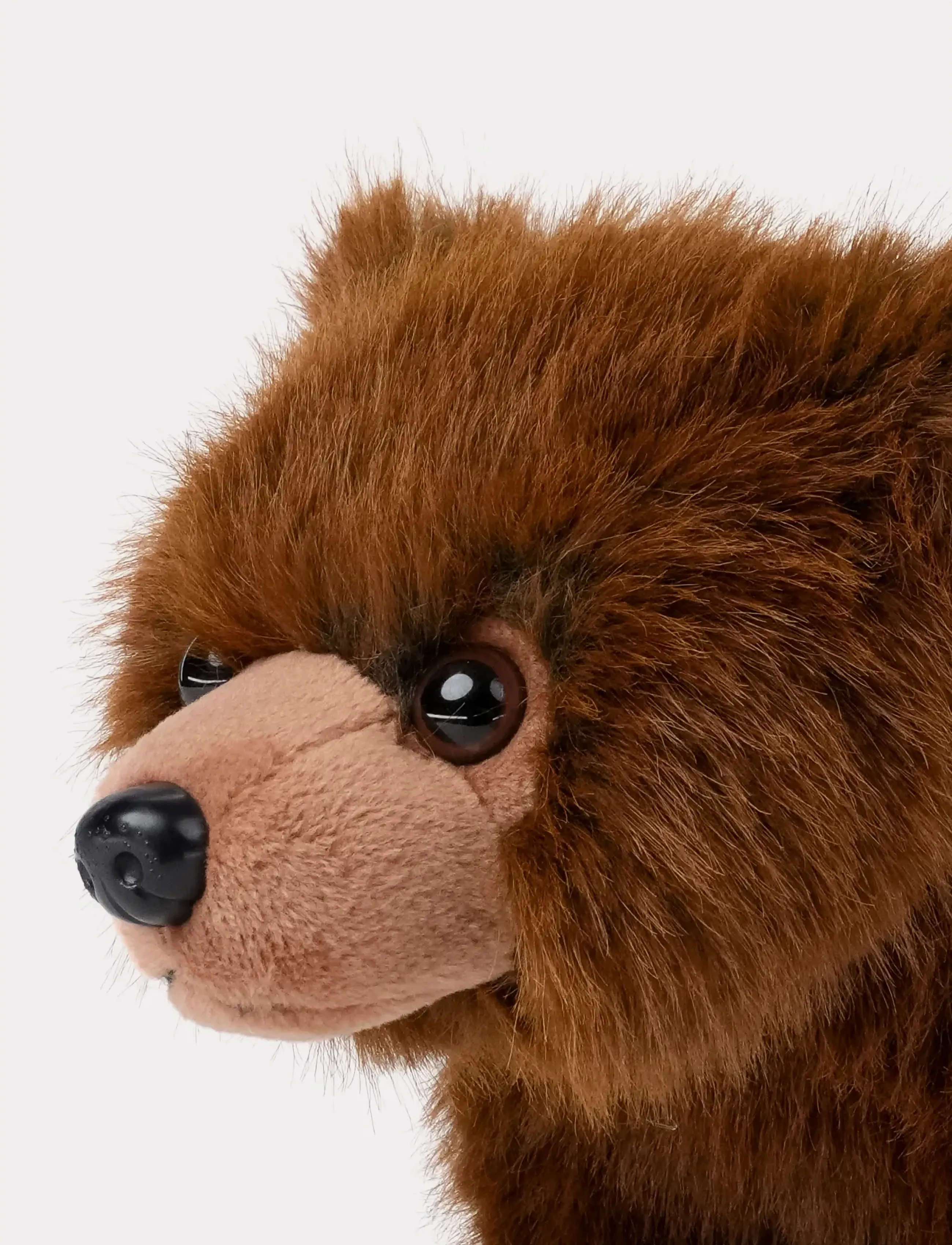 Teddykompaniet - Teddy Forest, Björn - mjukisdjur - brown - 5