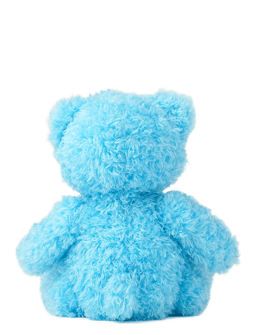 Teddykompaniet - Colour Cubs, Teddy, Blue - nallar - blue - 2