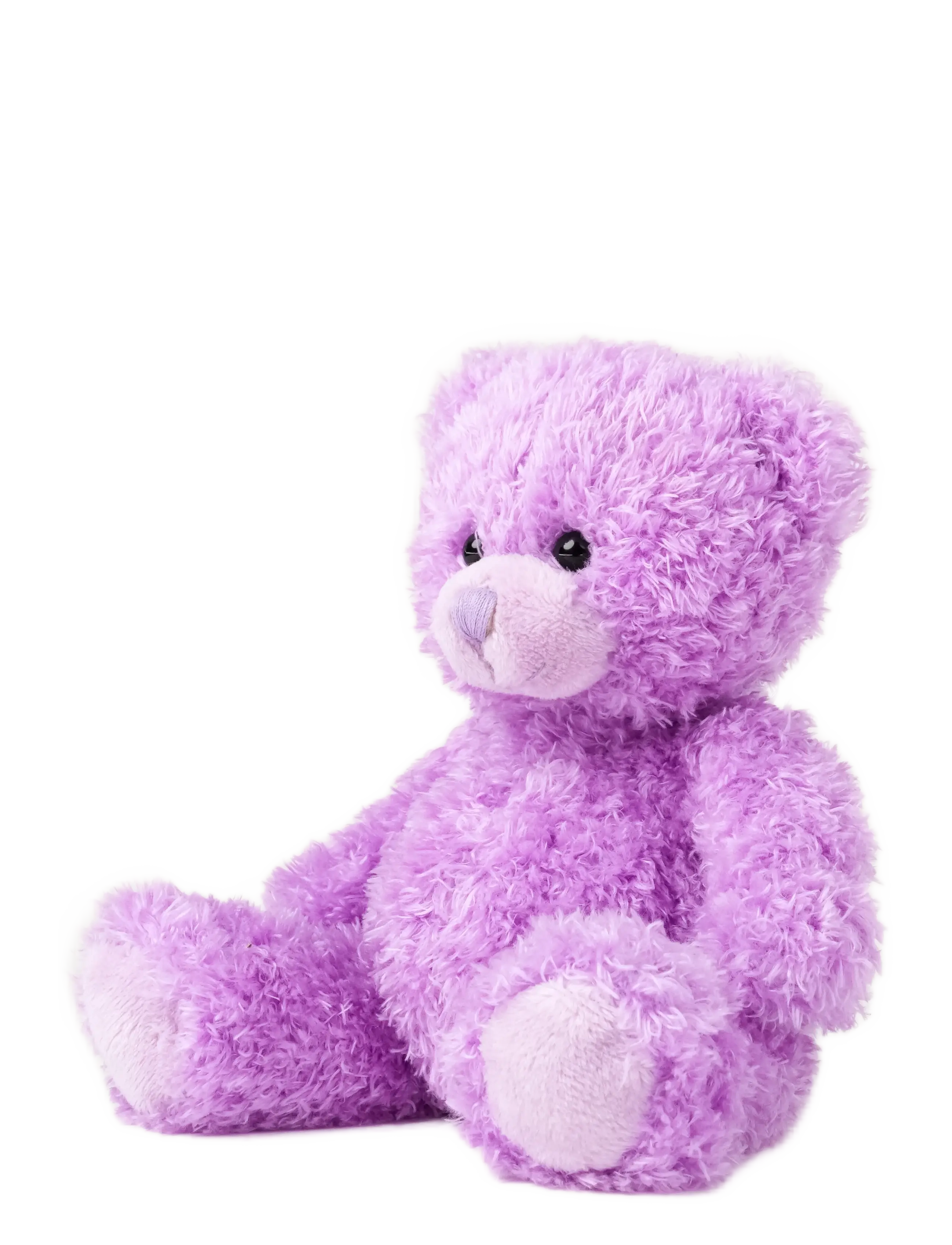 Teddykompaniet - Colour Cubs, Teddy, Lilac - nallar - purple - 1