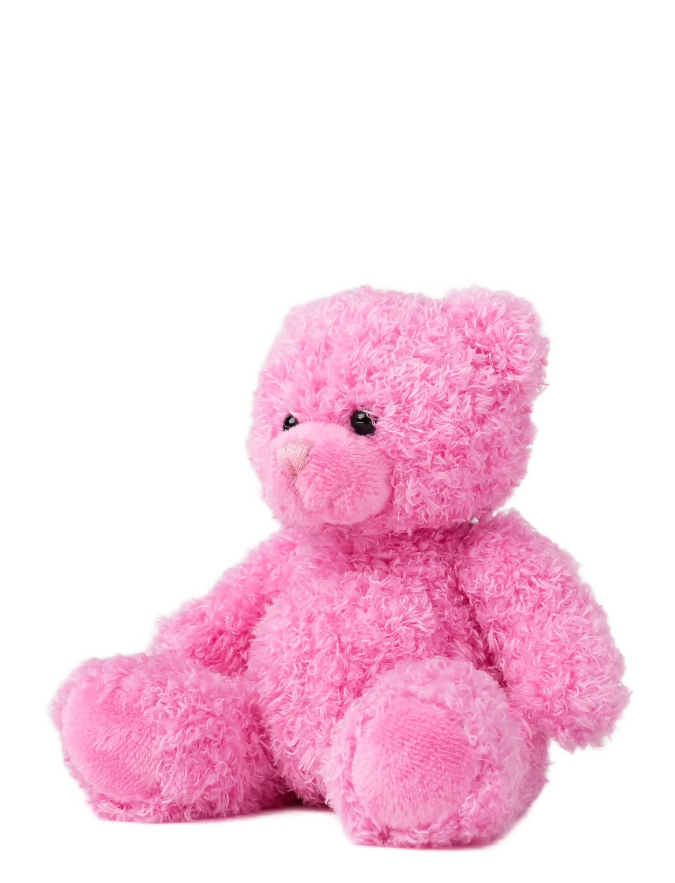 Teddykompaniet - Colour Cubs, Teddy, Pink - nallar - pink - 1