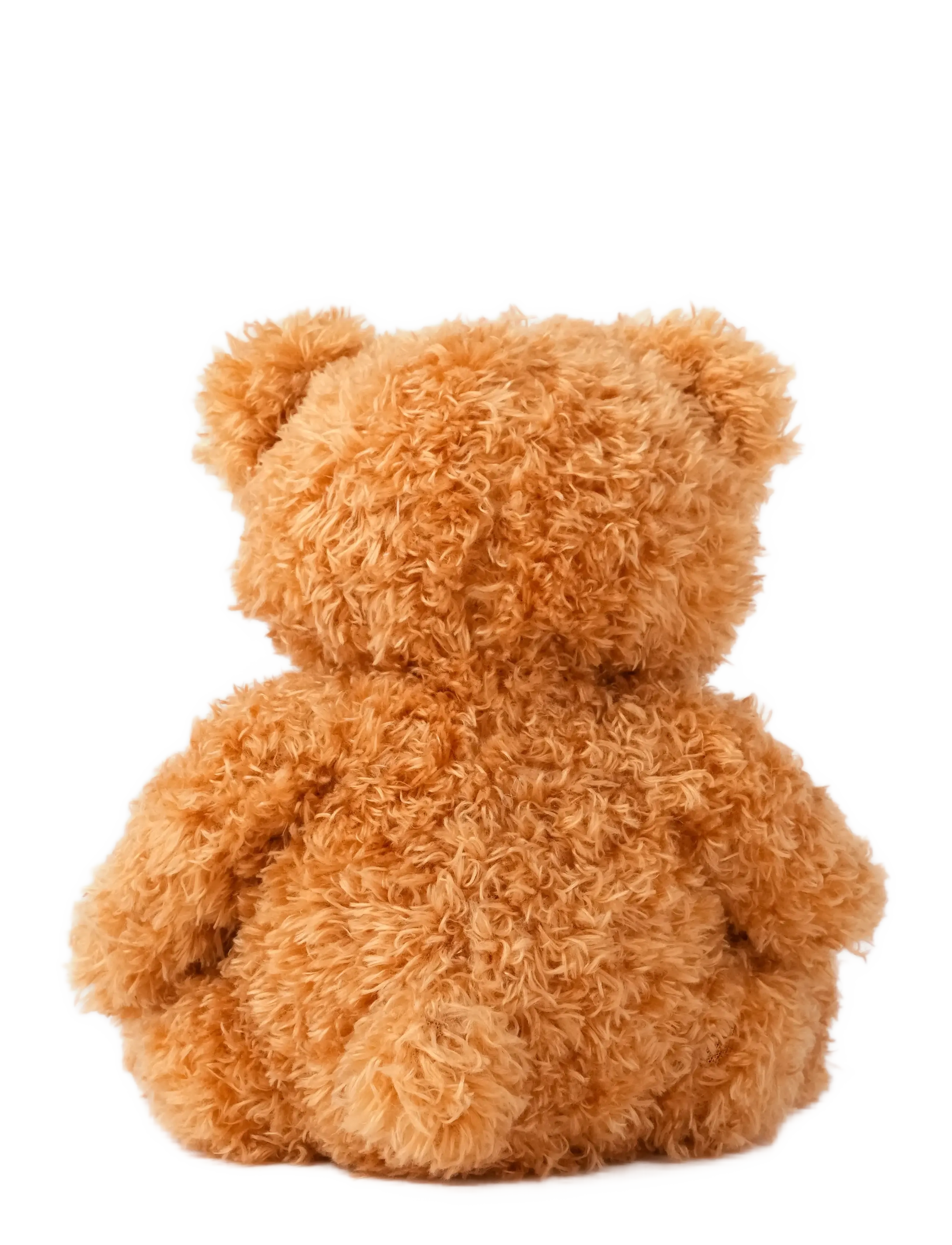 Teddykompaniet - Colour Cubs, Teddy, Brown - nallar - brown - 2