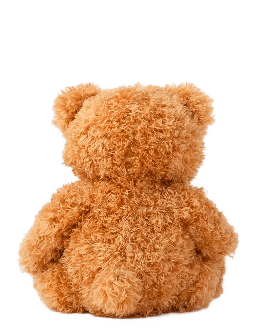 Teddykompaniet - Colour Cubs, Teddy, Brown - nallar - brown - 2