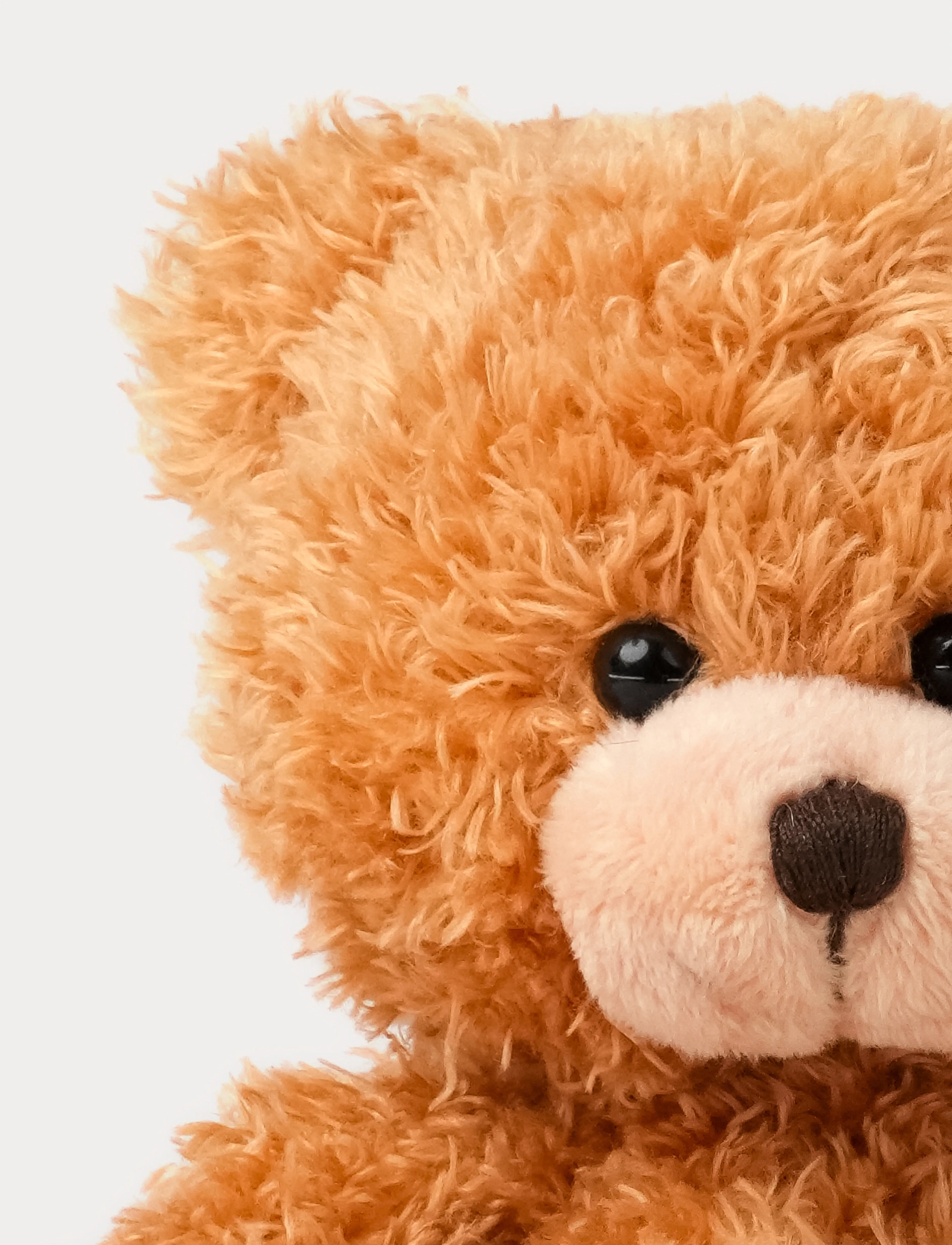Teddykompaniet - Colour Cubs, Teddy, Brown - nallar - brown - 5
