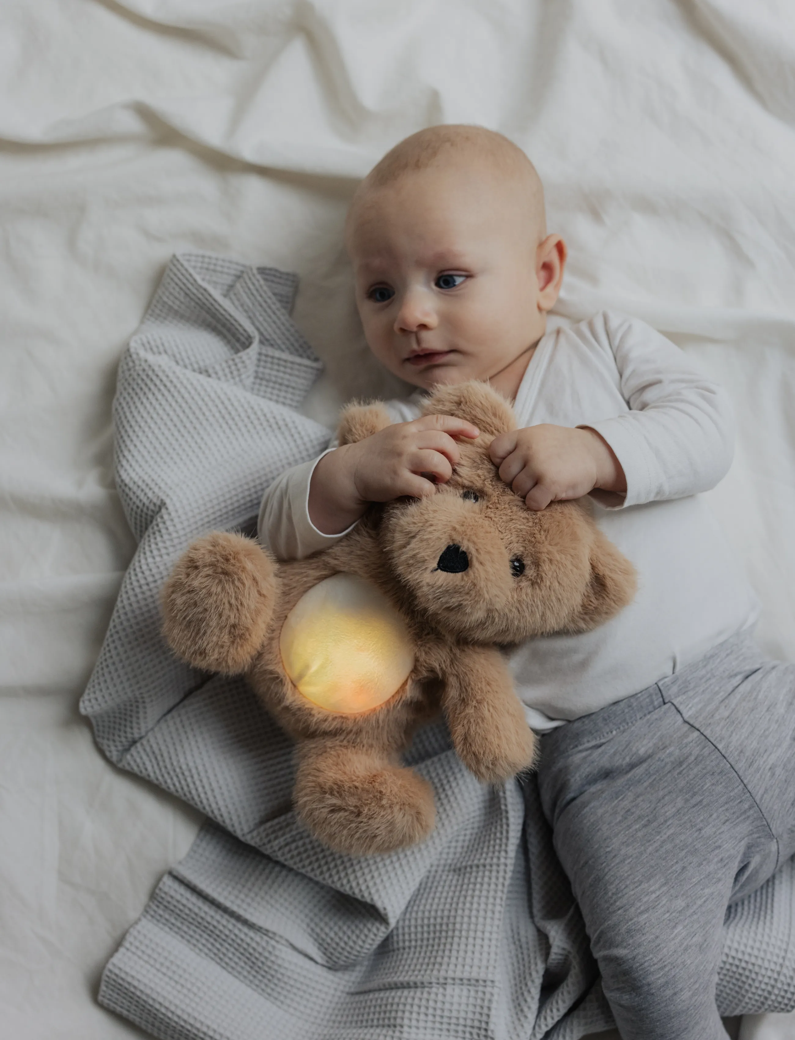 Teddykompaniet Baby Nattlampa med Ljud, Nalle - Teddykompaniet - BROWN / brown