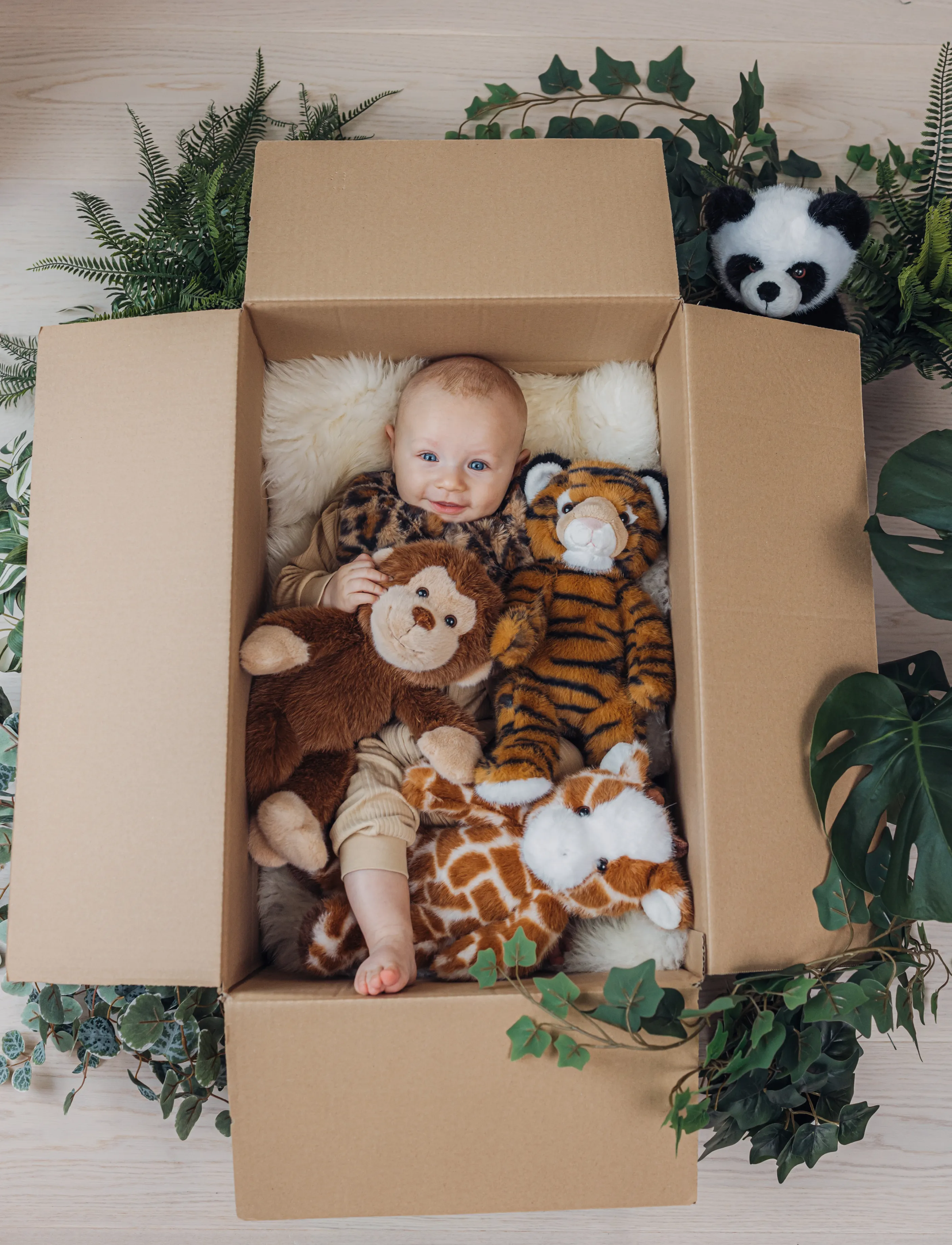 Teddykompaniet - Teddy Wild, Apa - mjukisdjur - brown - 4