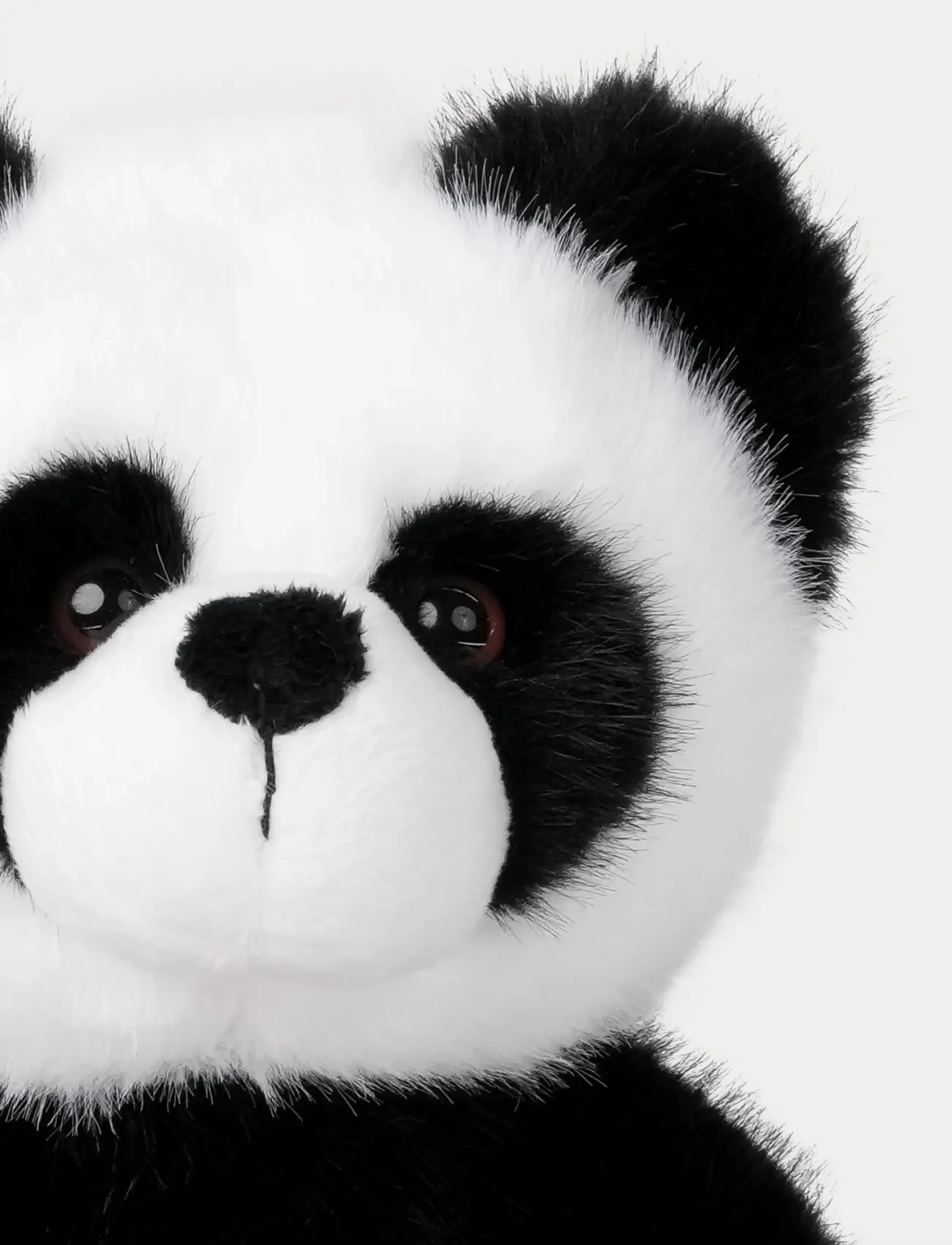 Teddykompaniet - Teddy Wild, Panda - mjukisdjur - black - 5
