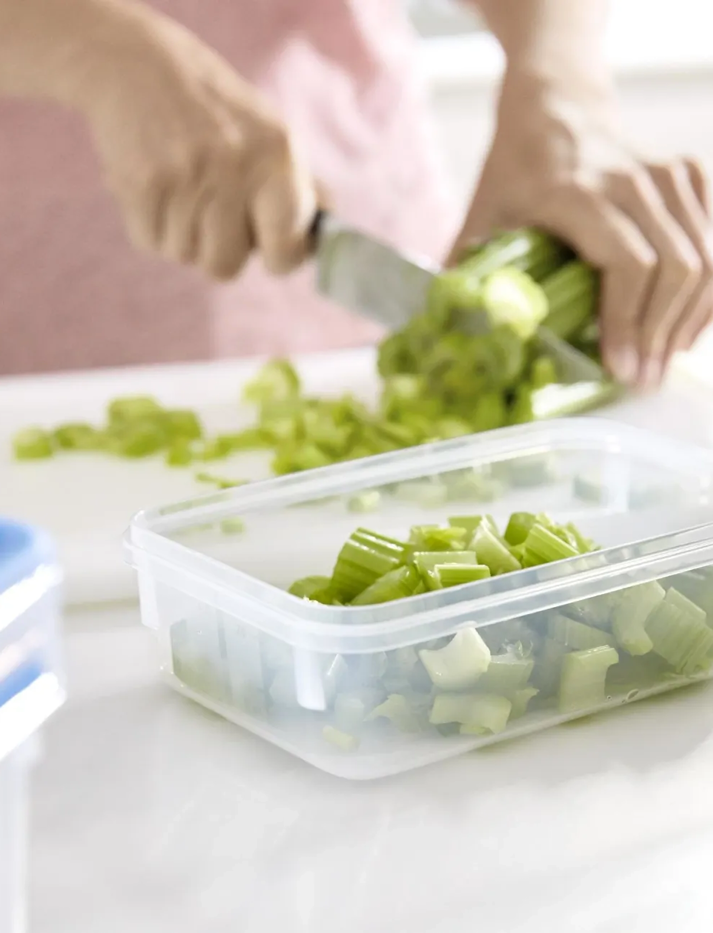 Tefal MasterSeal FRESH box 3pcs 0,55/1,0/2,3 l. - Konfirmation - TRANSPARENT / blue