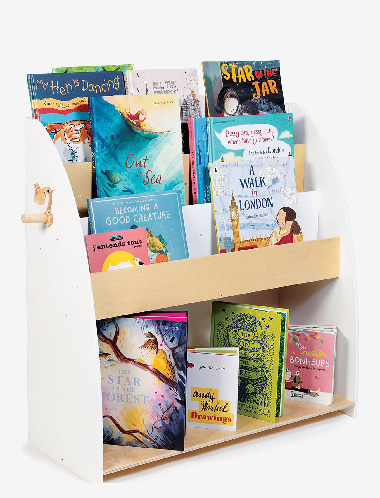 Tender Leaf - Bookshelf with storage - multi - 1