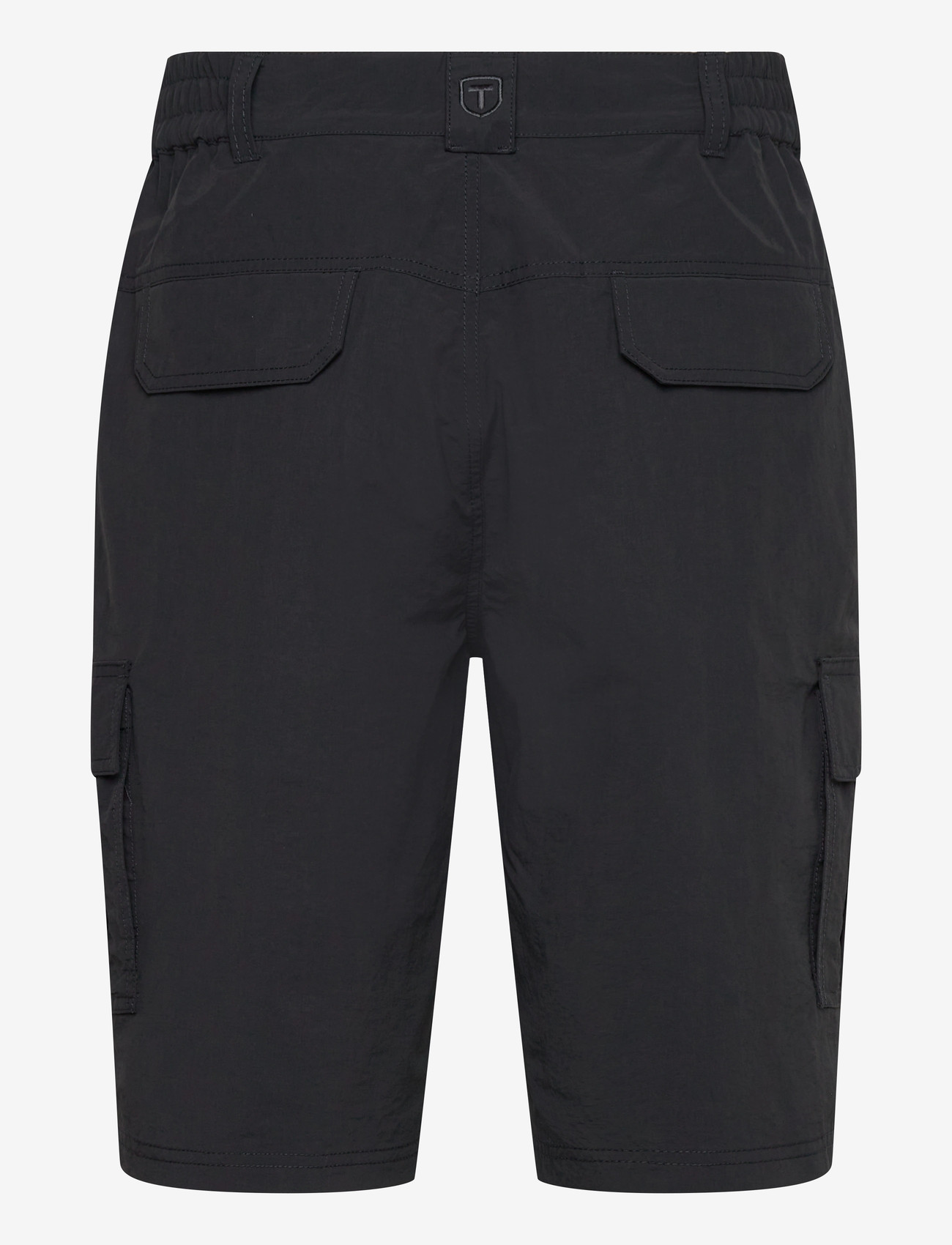 Tenson - Thad Shorts M - udendørsshorts - antracithe - 1