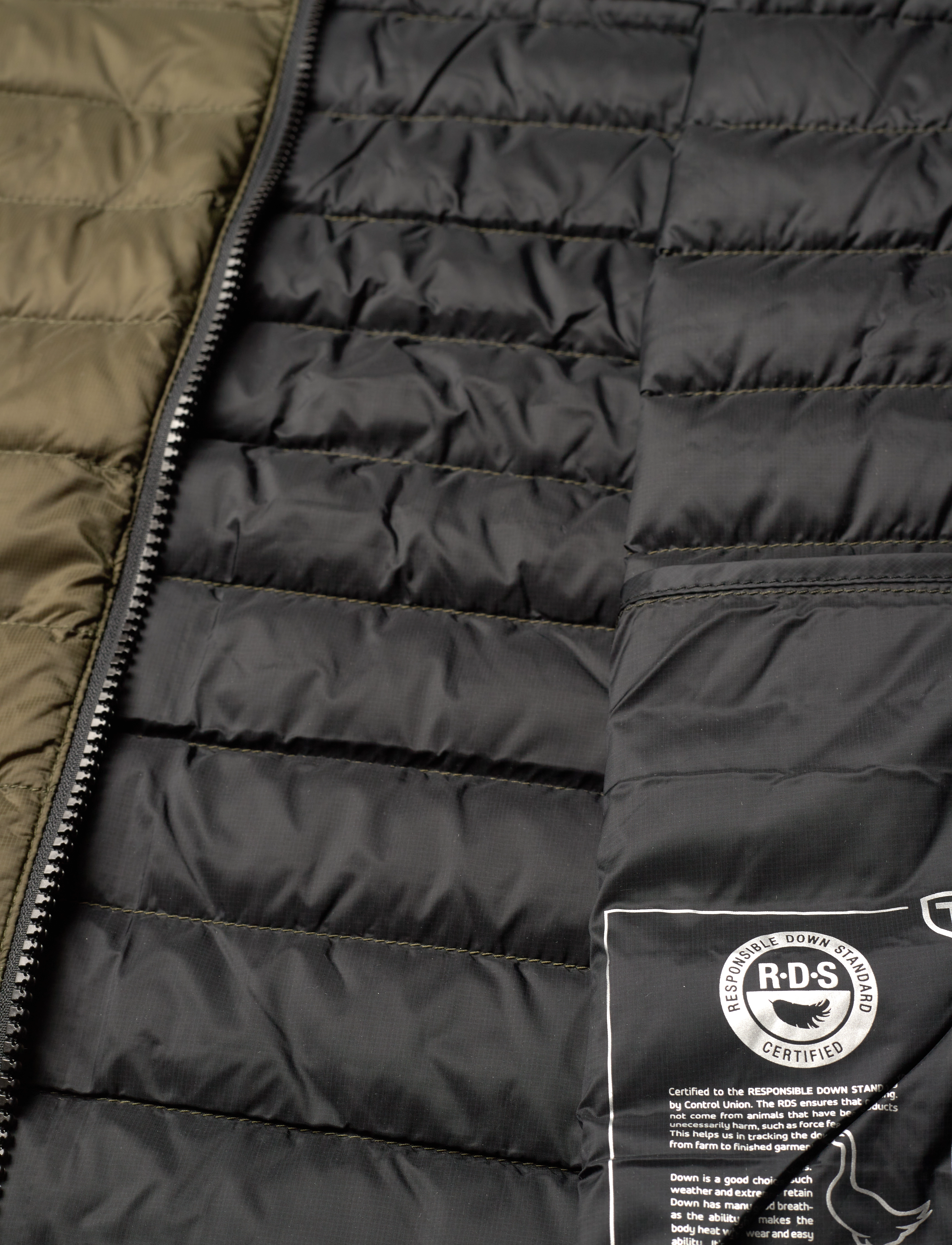 Tenson - Dakota Down Coat - olive - 4