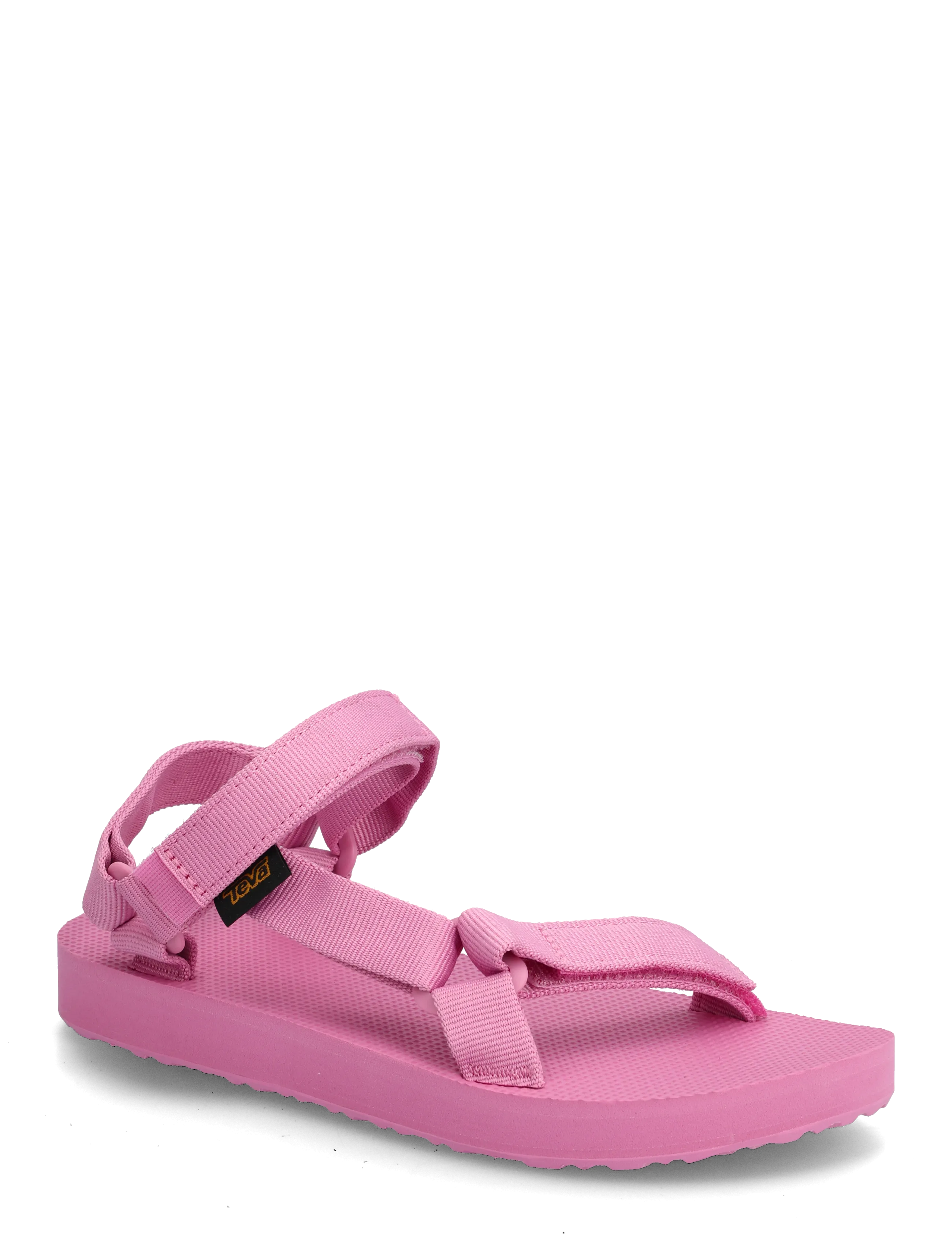 FUCHSIA PINK