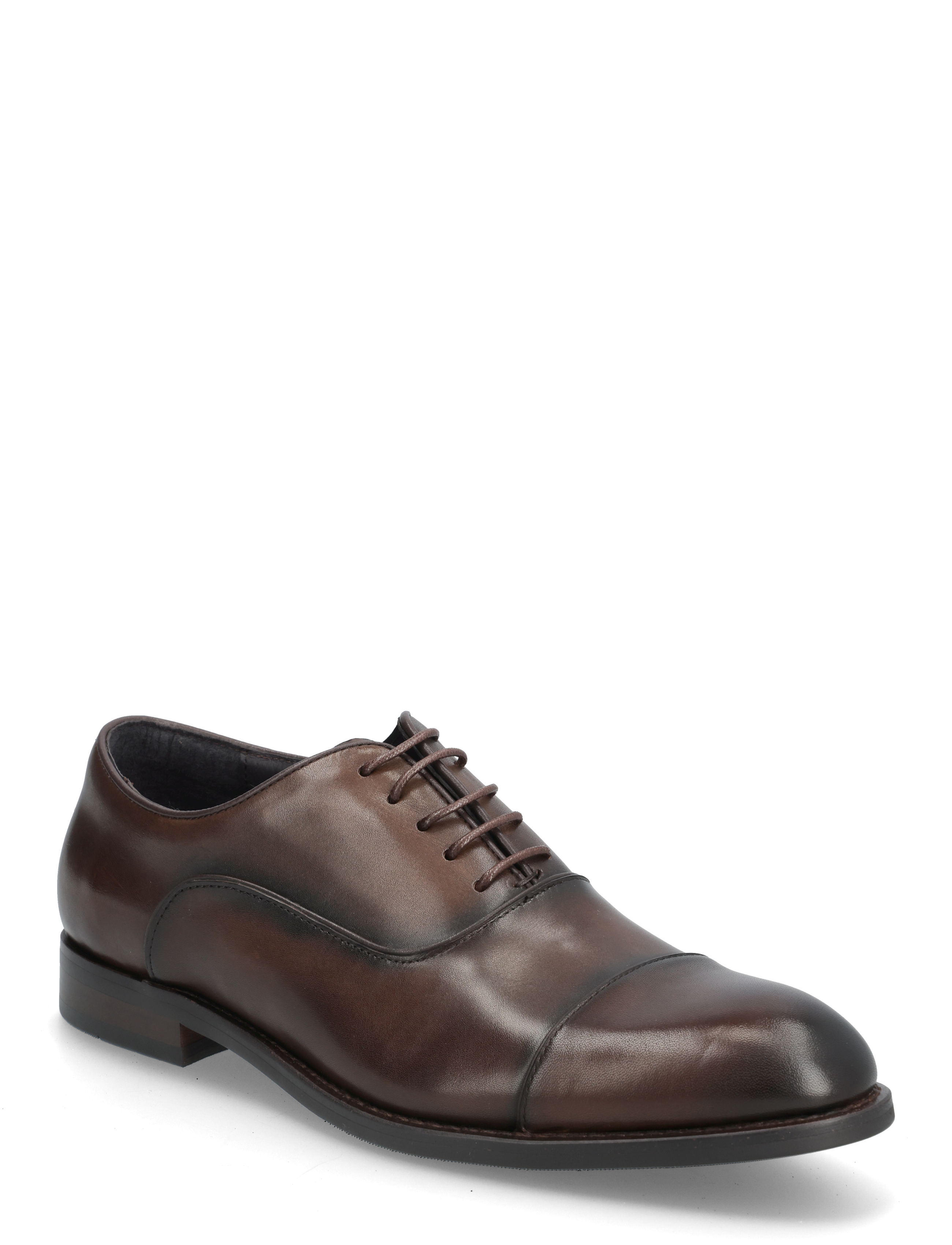 DK BROWN