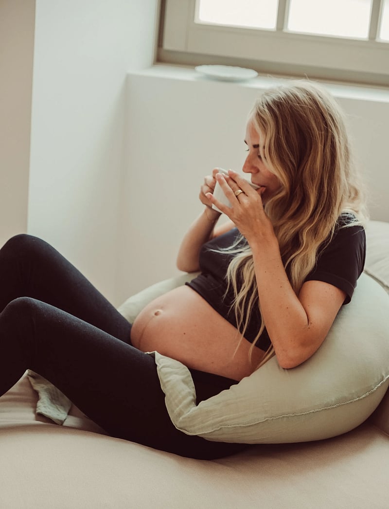 That's Mine - Moon Nursing pillow - nursing pillows - desert sage - 1