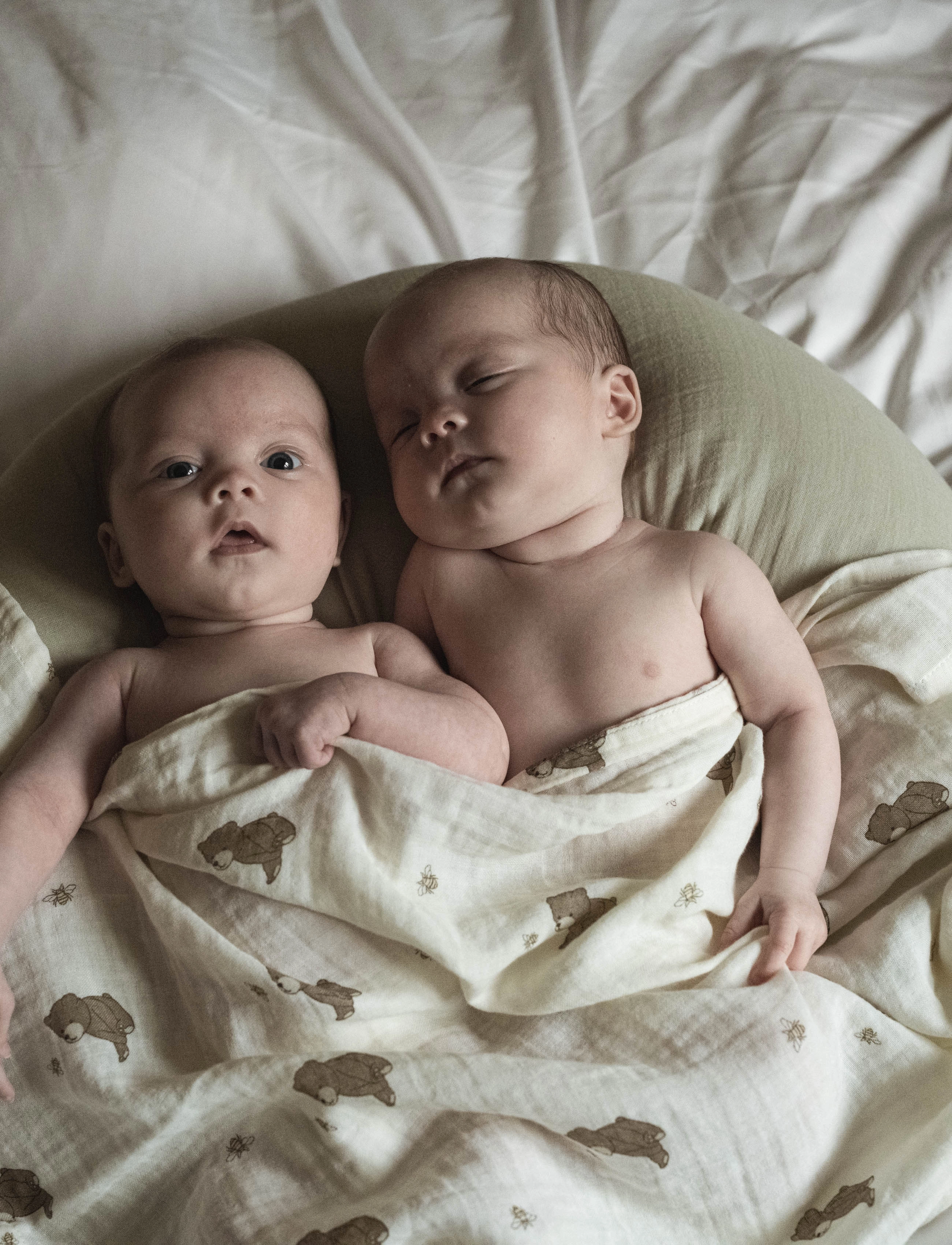 That's Mine - Moon nursing pillow - desert sage - 3