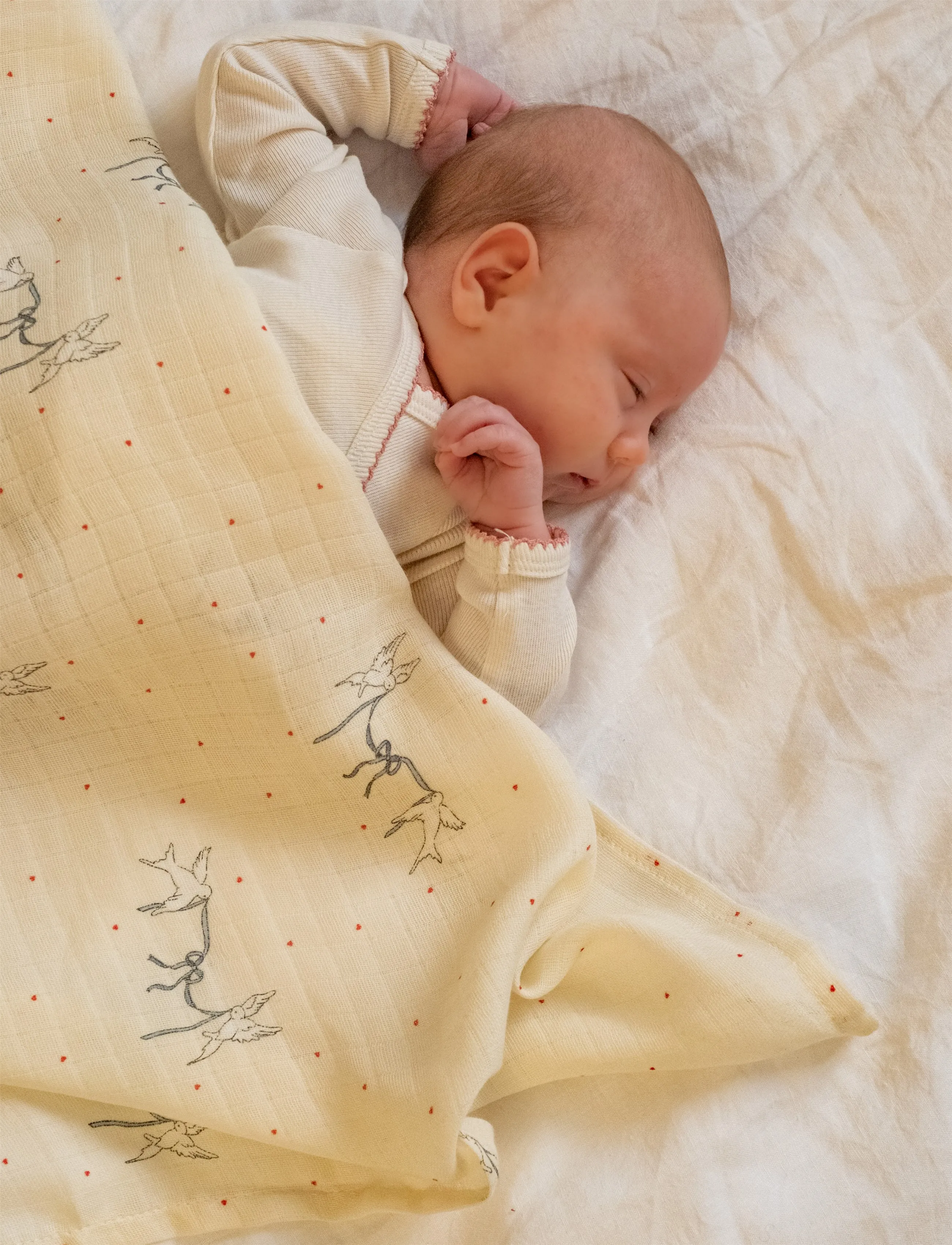 That's Mine - Jana muslin swaddle - muslin blankets - sweet serenity - 2