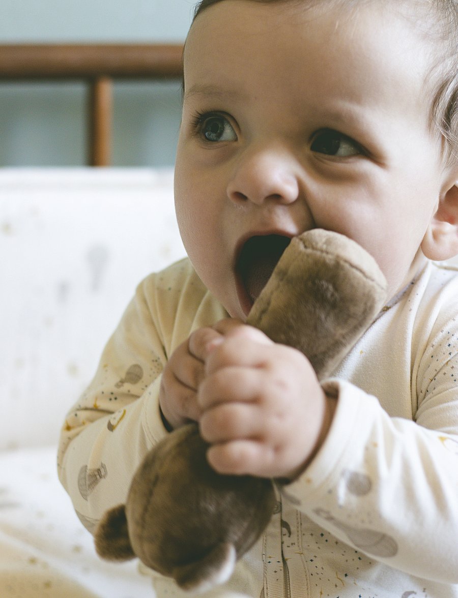 That's Mine - Ethan rattle - rasseln - bear - 2