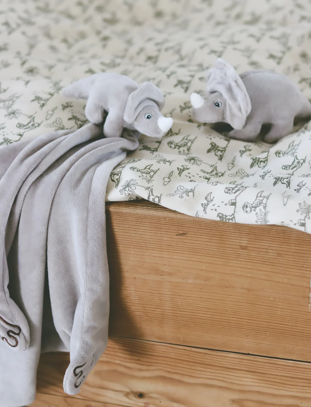 That's Mine - Ethan rattle - rasseln - dino - 3