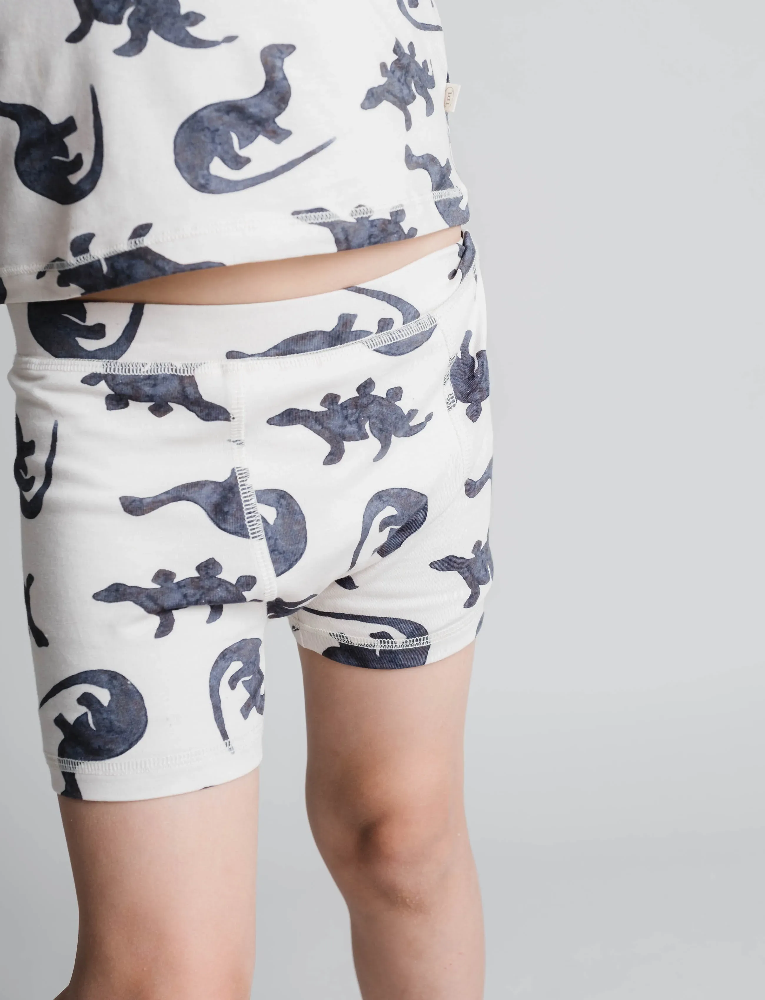 That's Mine - Ebbe boxershorts 2-pack - underdele - mono dino - 2