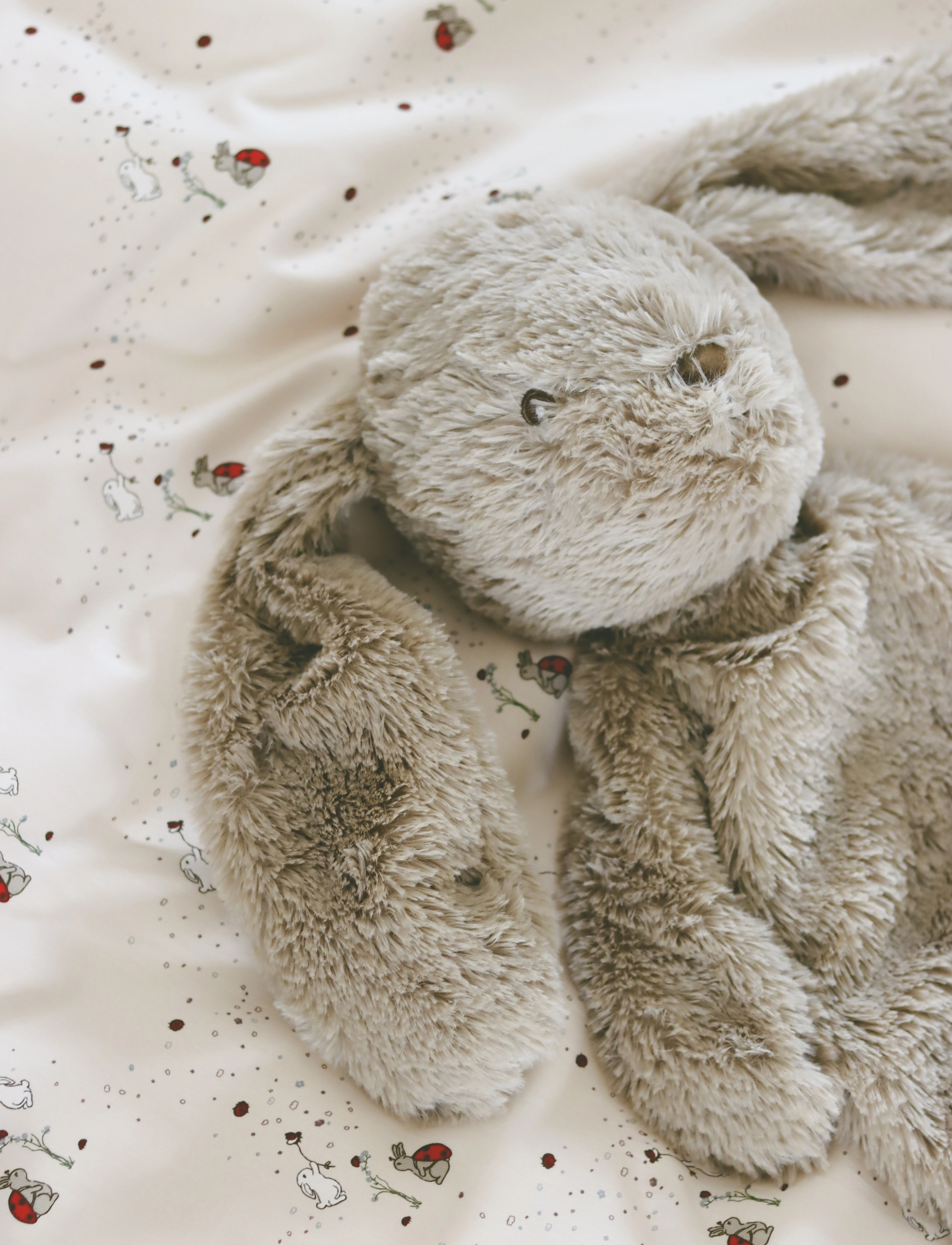 That's Mine - Houston heavy teddy large - mjukisdjur - bunny - 5
