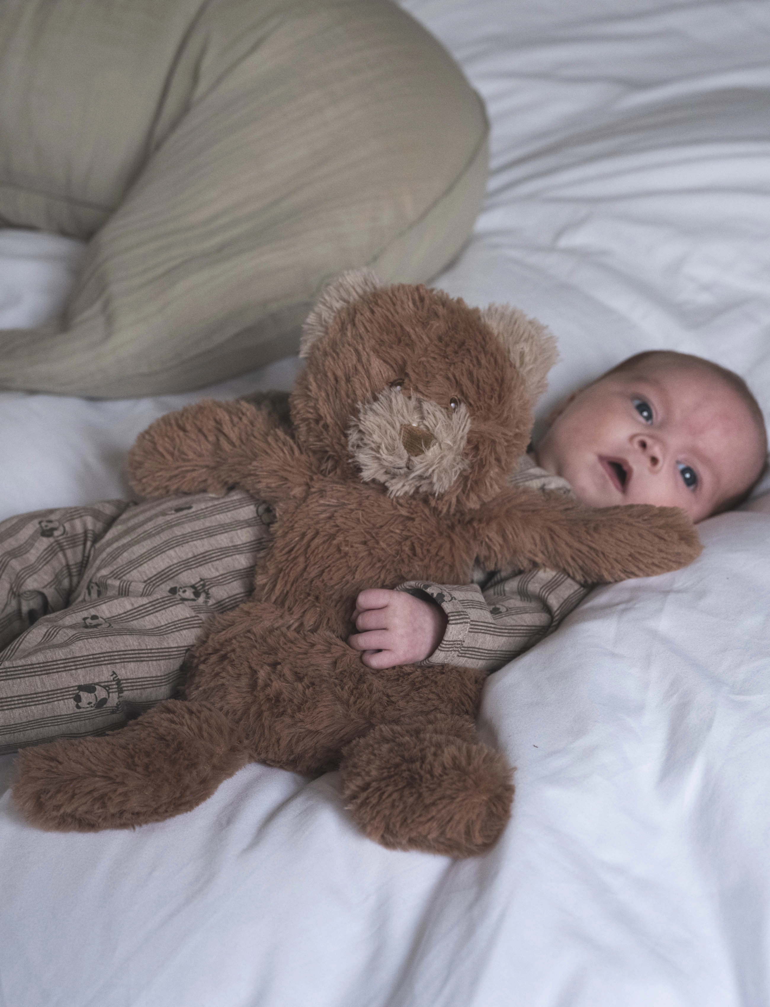 That's Mine - Houston heavy teddy small - kuscheltiere - bear - 4