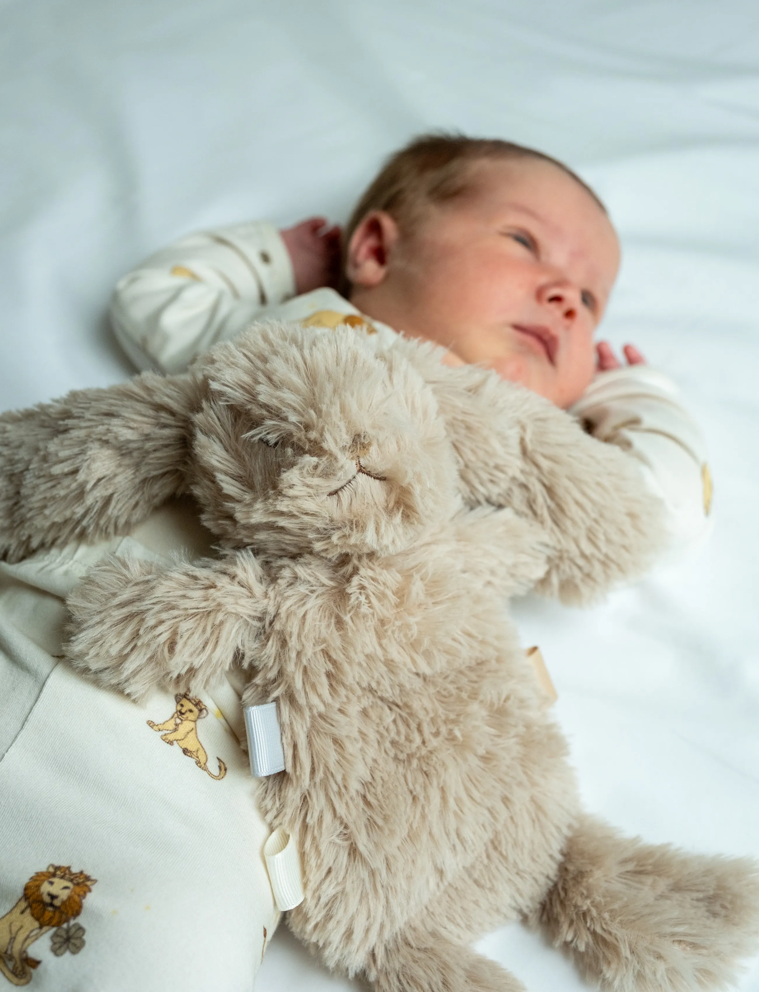 That's Mine Houston Heavy Teddy Mini, Børn, Stuffed Dyr, Beige, Str: ONE SIZE