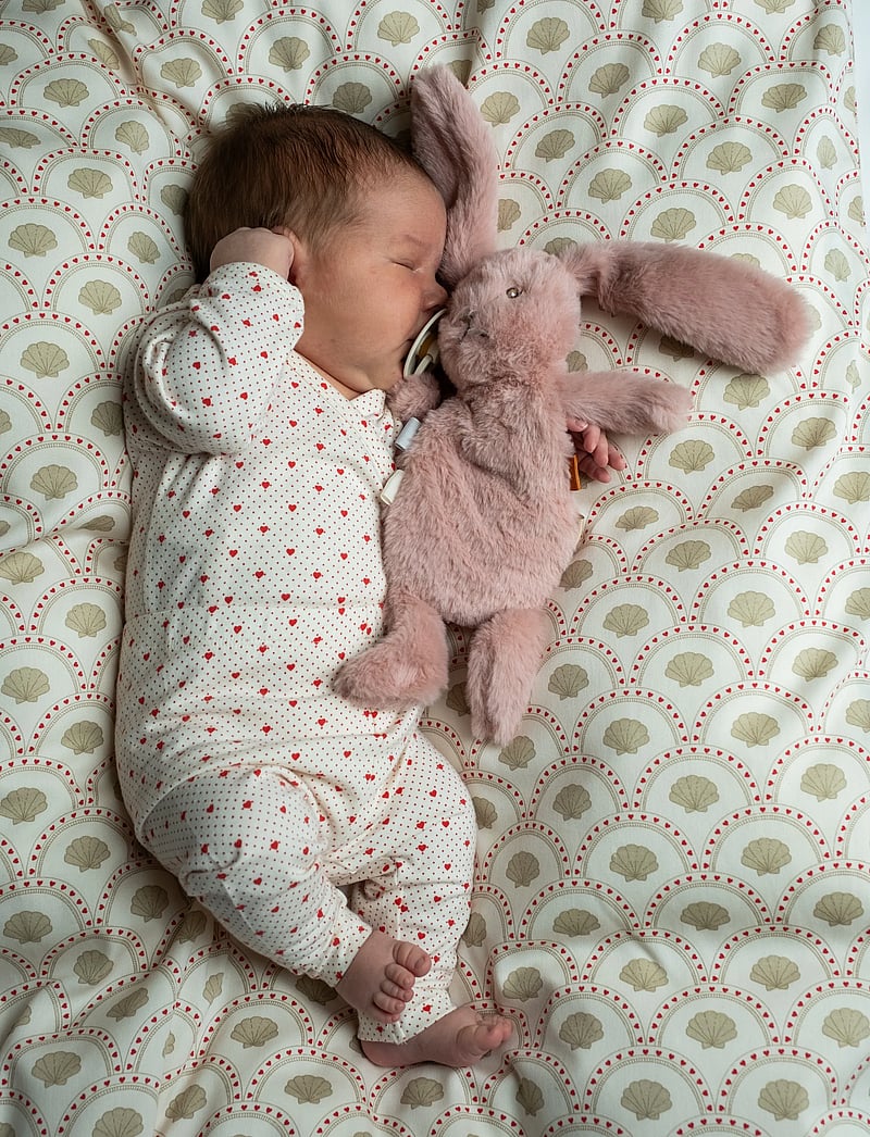 That's Mine - Houston heavy teddy mini - mjukisdjur - rose - 0