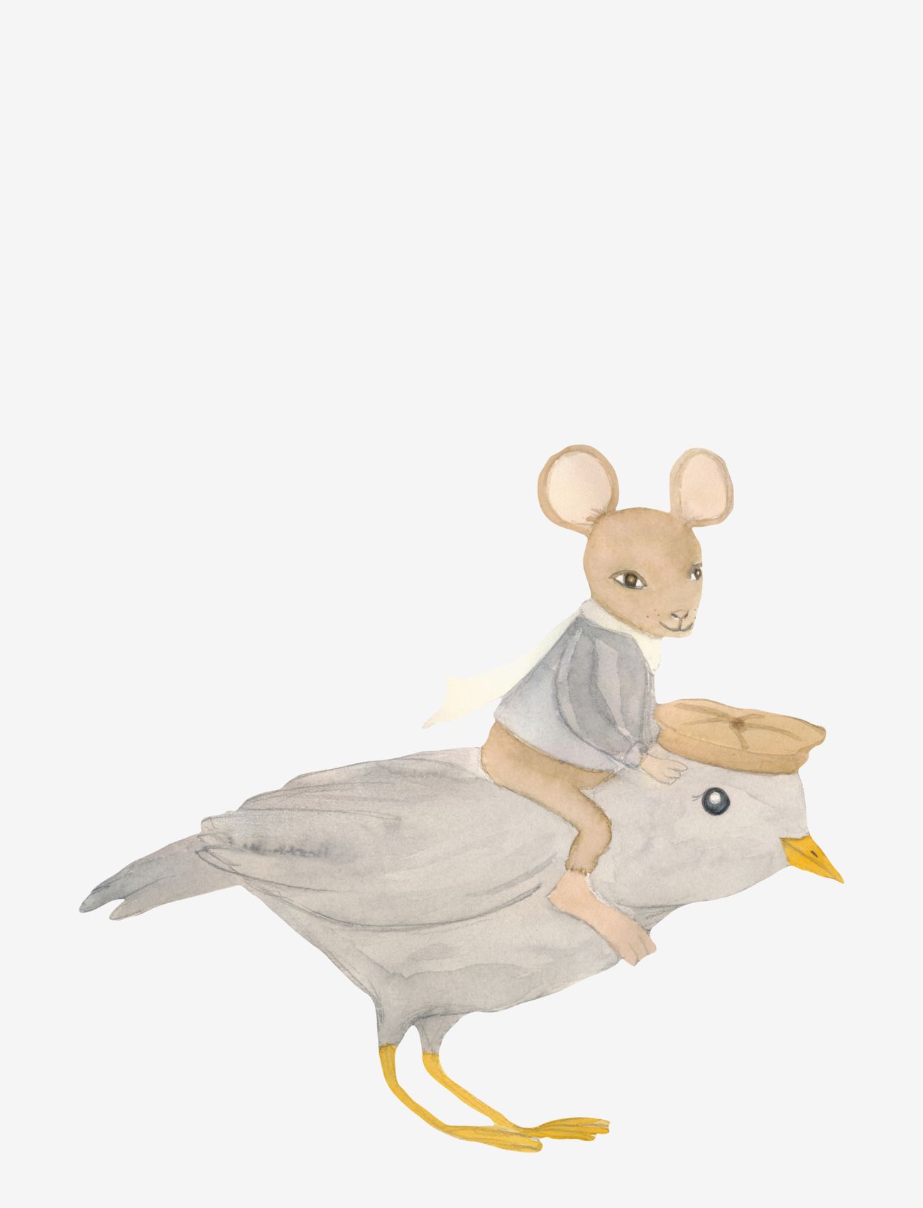 Noah the flyer - GREY