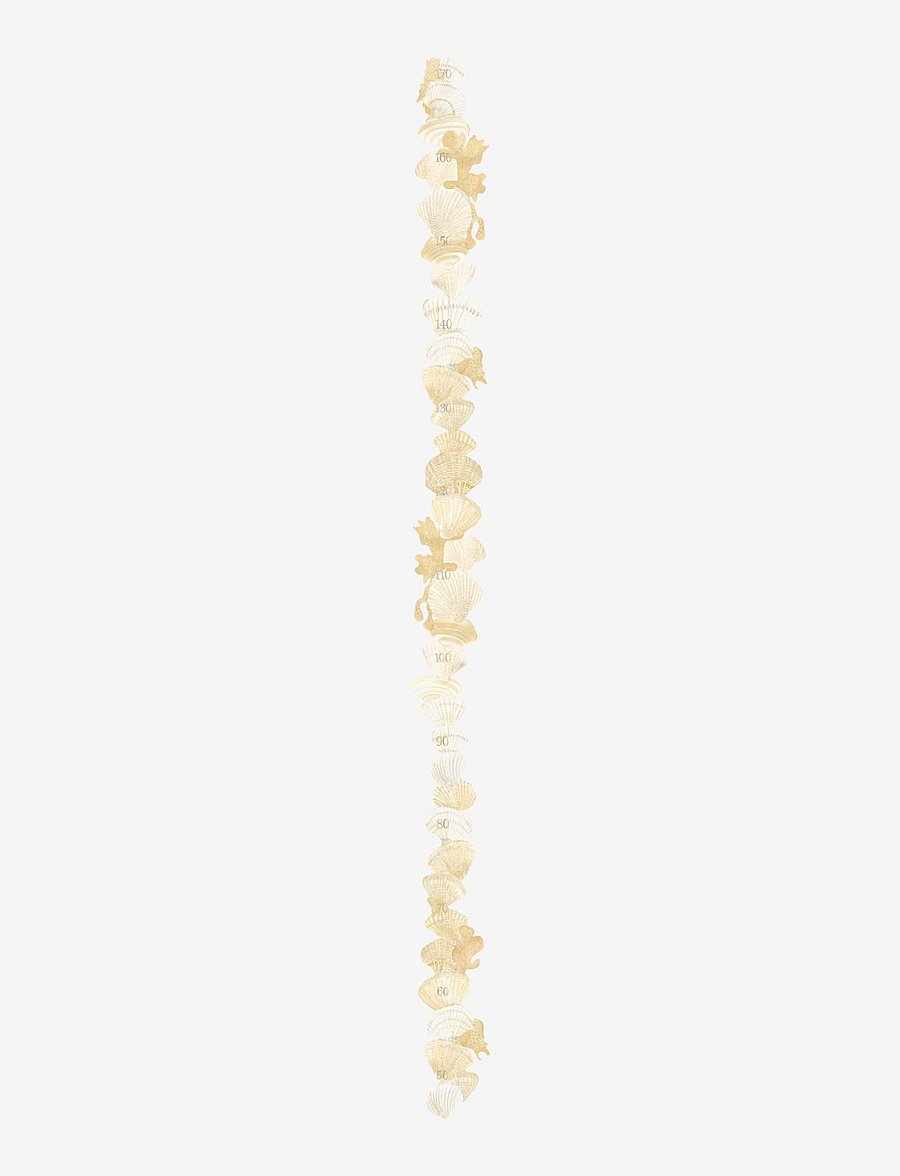 That's Mine - Shell growth chart beige - natur - beige - 1