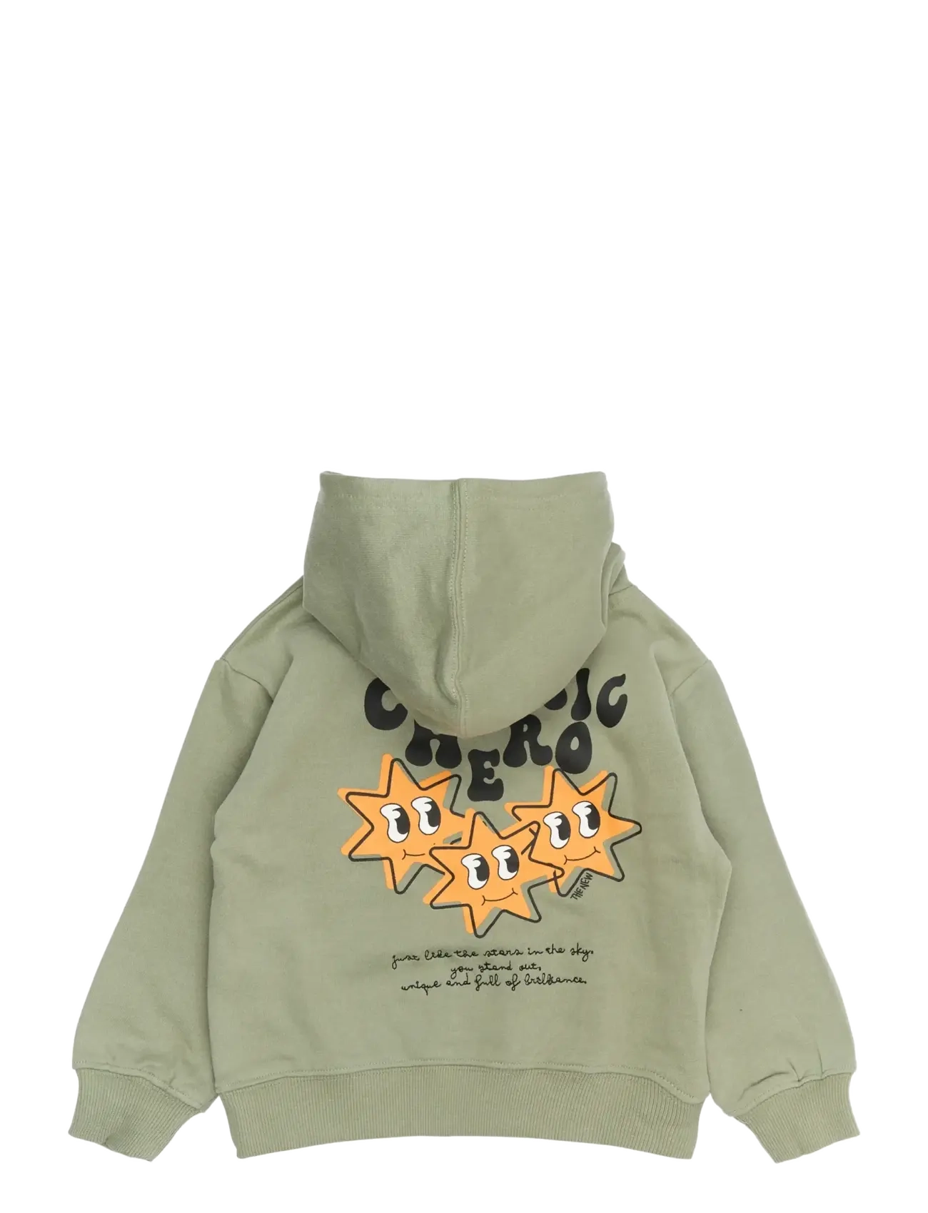 THE NEW SIBLINGS - TNSTRandall OS Hoodie - kapuzenpullover - lily pad - 1