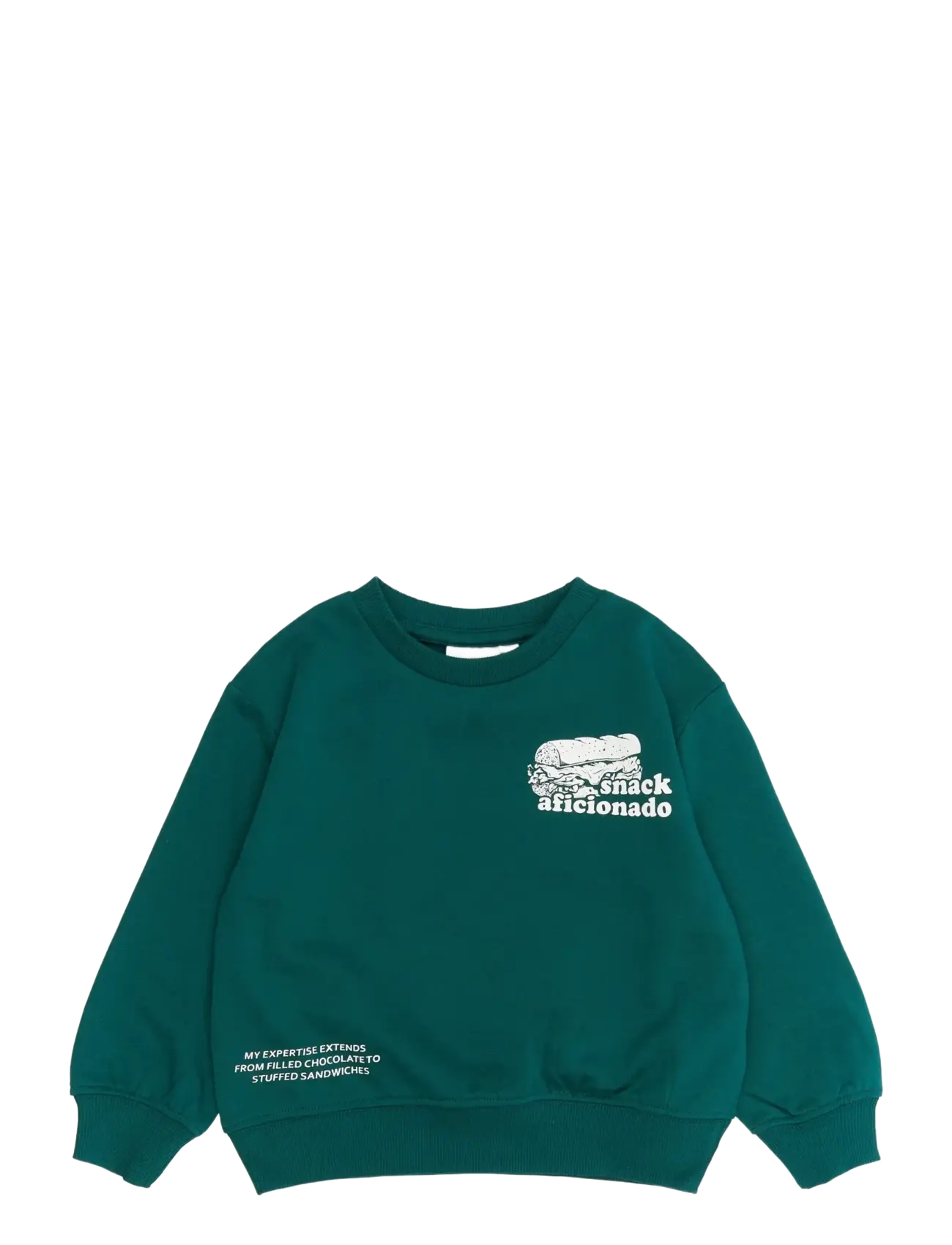 THE NEW SIBLINGS TNSTRory OS Sweatshirt - Baby 44-92 - DEEP TEAL / green