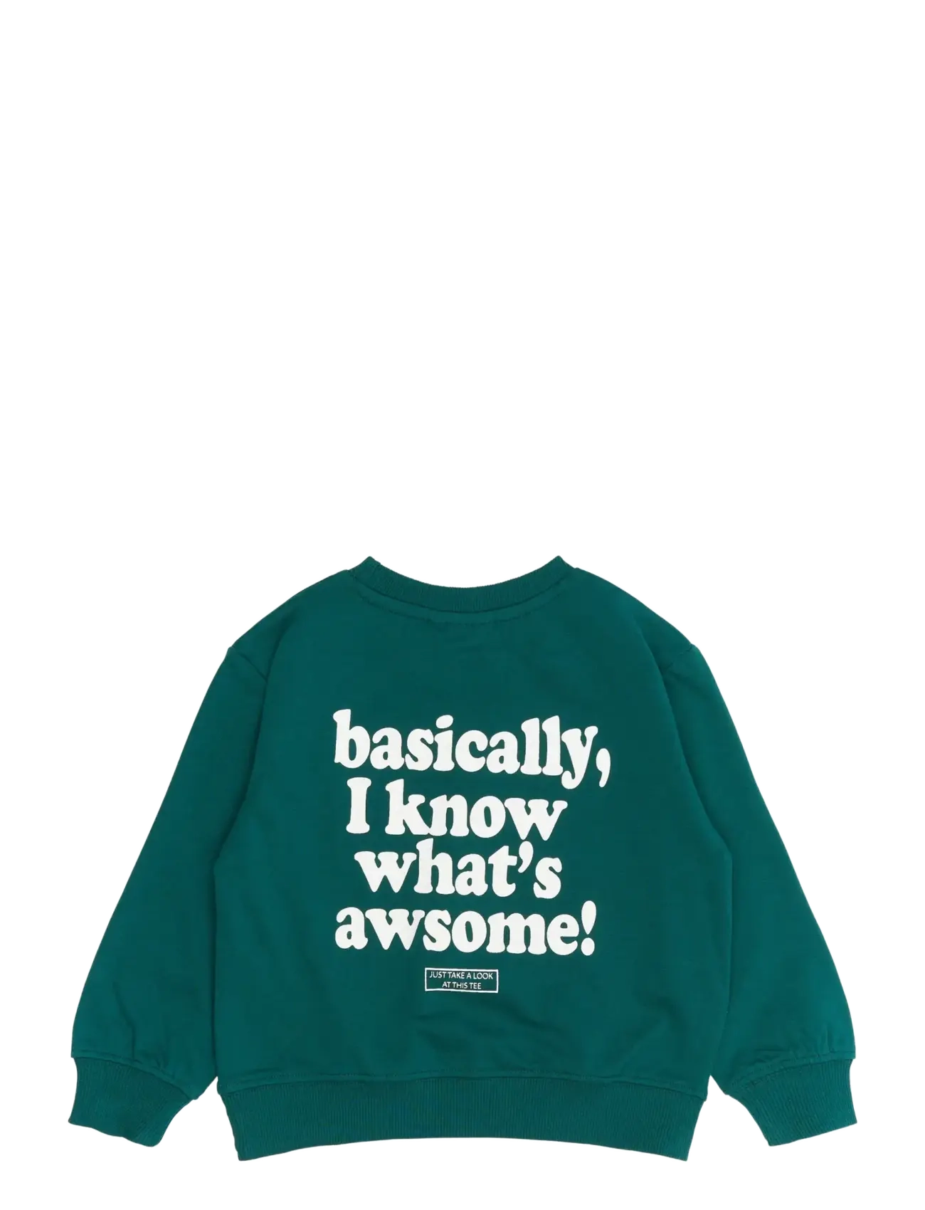 THE NEW SIBLINGS - TNSTRory OS Sweatshirt - deep teal - 1