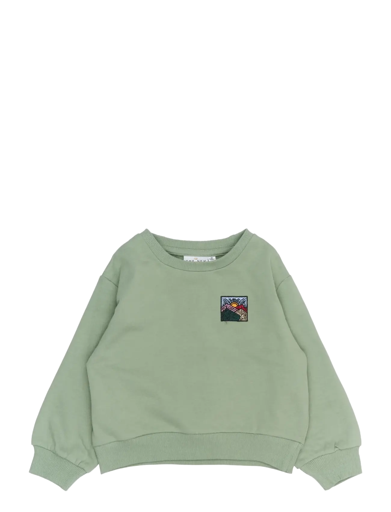THE NEW SIBLINGS TNSTRolando OS Sweatshirt - Baby 44-92 - LILY PAD / green