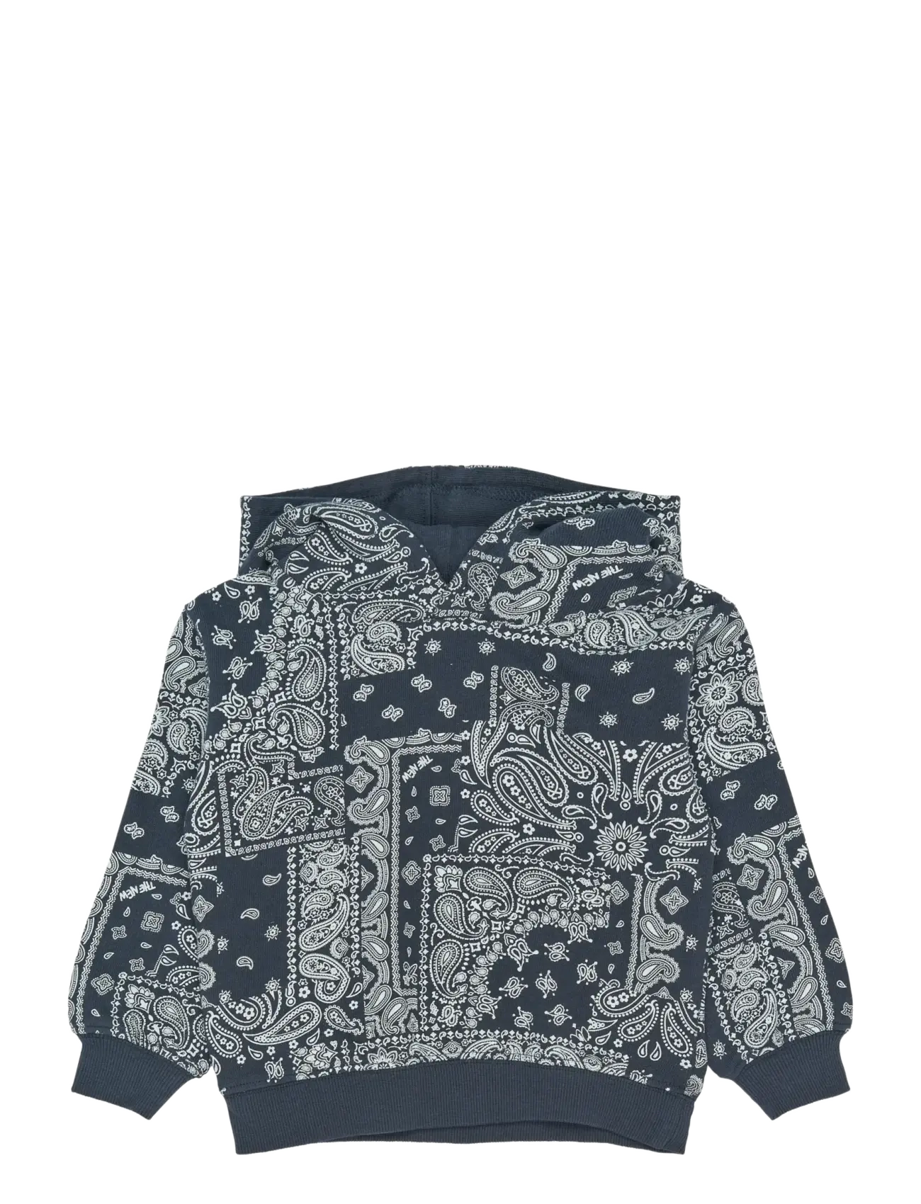 THE NEW SIBLINGS TNSTSimon OS Hoodie - Riided - NAVY BLAZER AOP / navy