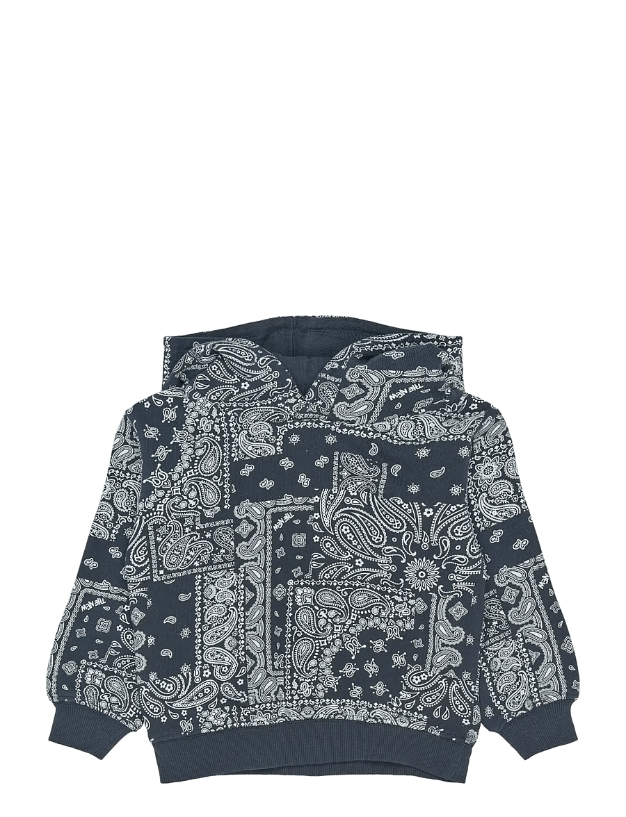 THE NEW SIBLINGS - TNSTSimon OS Hoodie - kapuzenpullover - navy blazer aop - 1