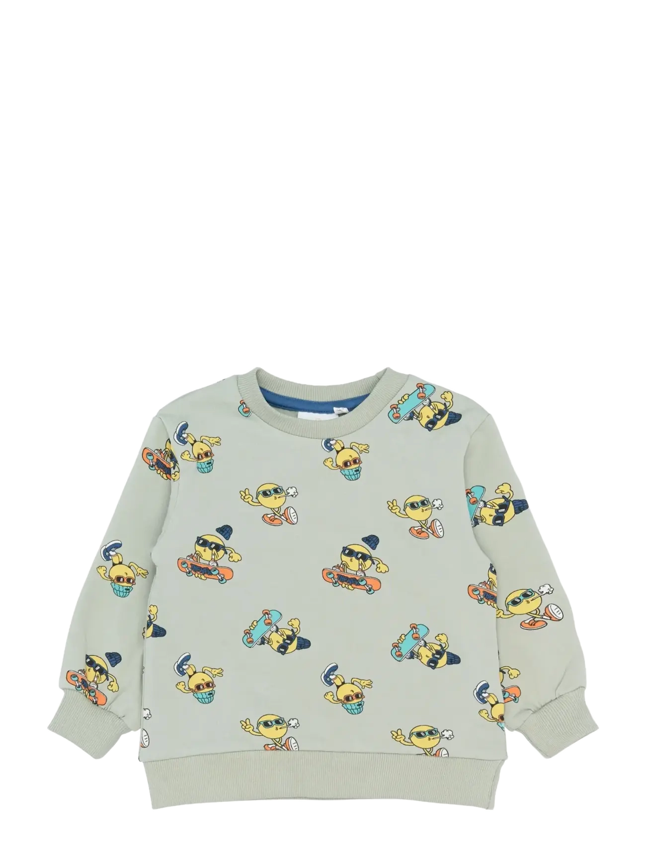 THE NEW SIBLINGS TNSTSantiago Sweatshirt - Riided - AQUA GRAY AOP / green