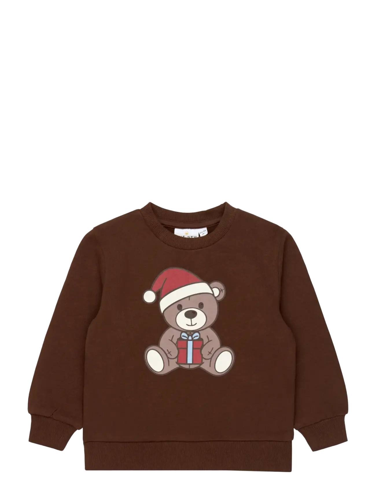 THE NEW SIBLINGS TNSTHoliday Sweatshirt - Dressipluusid ja kapuutsiga pusad - CHESTNUT / brown