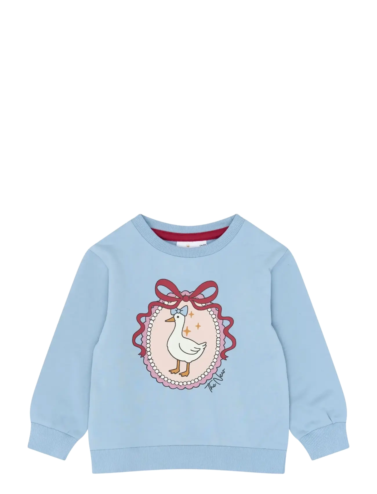 THE NEW SIBLINGS - TNSTYasmina Sweatshirt - dressipluusid - ashley blue - 1
