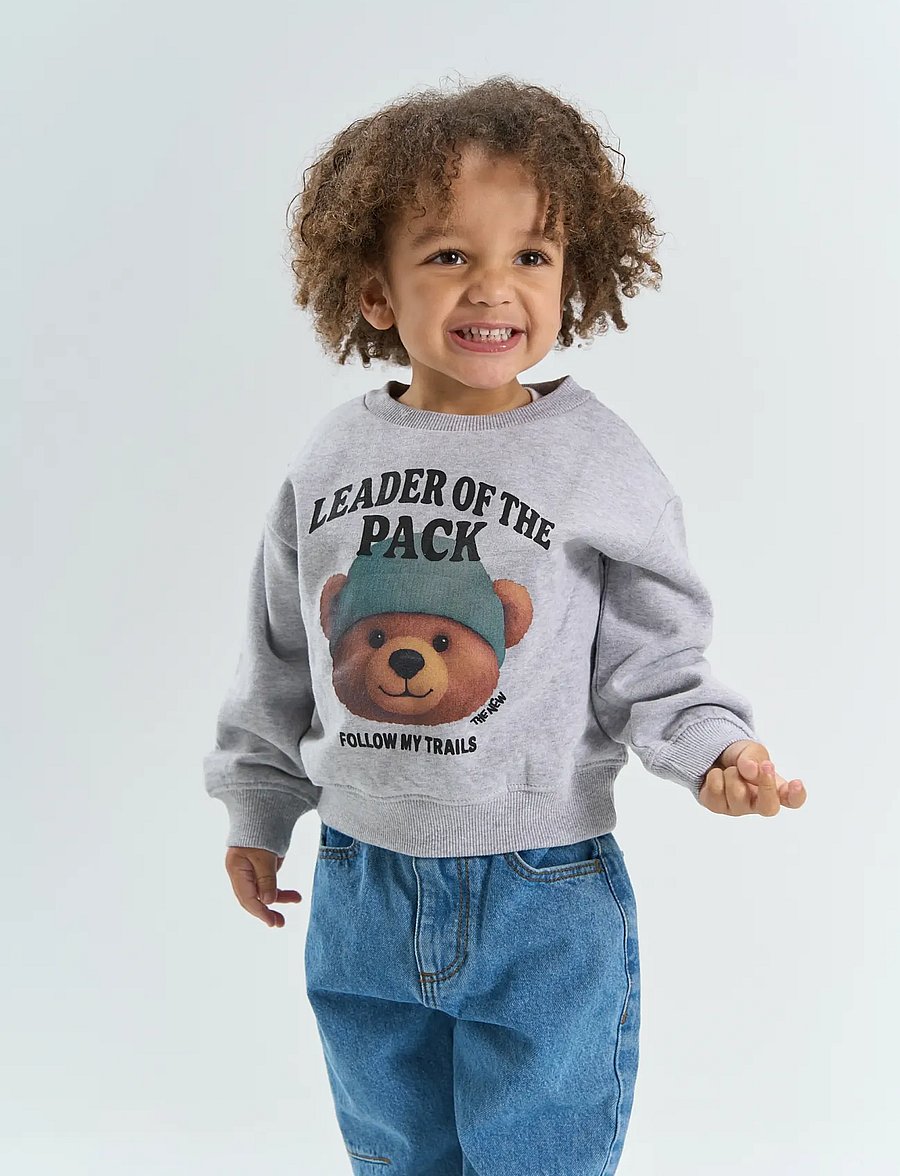THE NEW SIBLINGS - TNSTYvan OS Sweatshirt - dressipluusid - light grey melange - 0