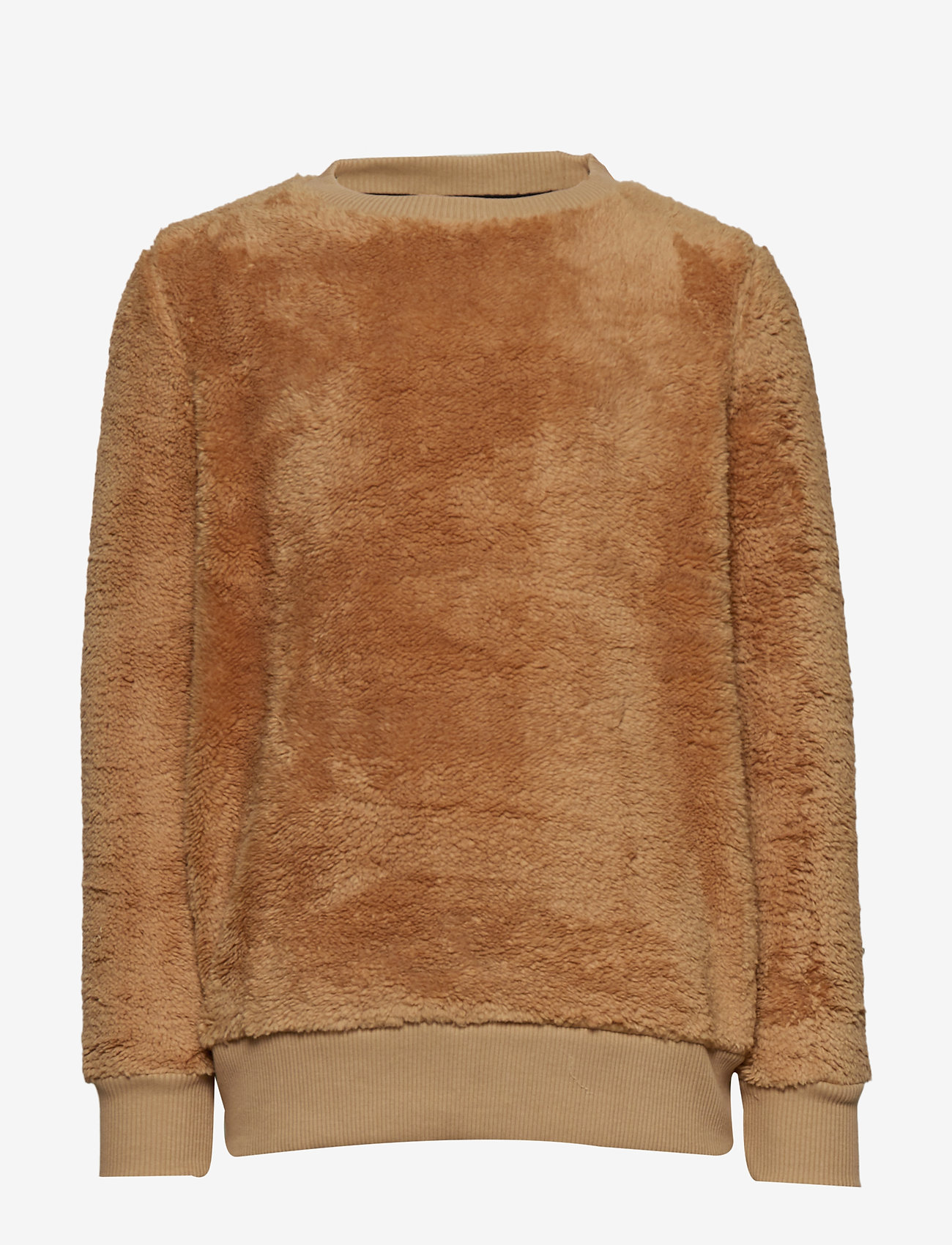 The New - MINI TEDDY SCHOOL SWEATSHIRT - camel - 0