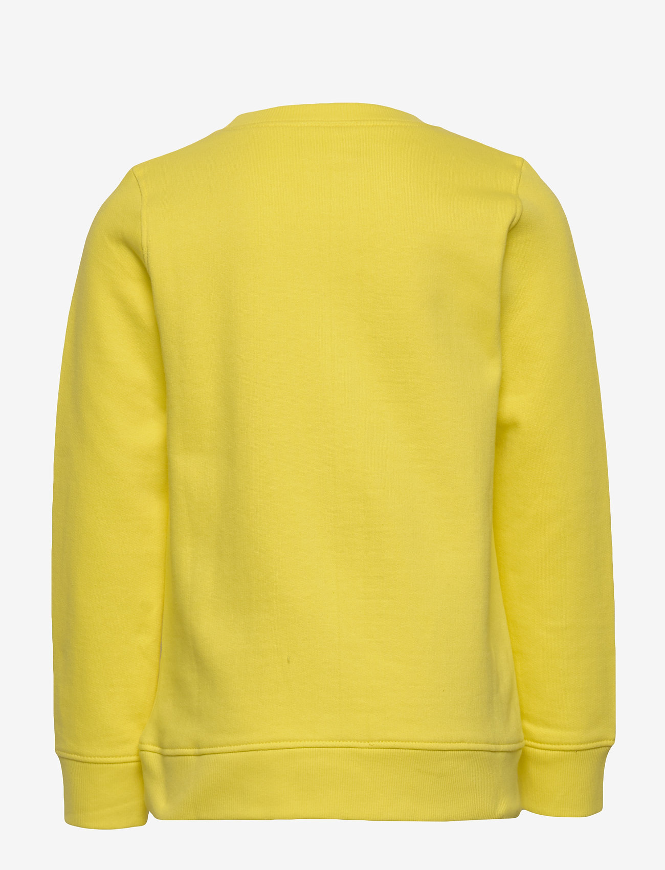 The New - OFELIA SWEATSHIRT - aurora - 1