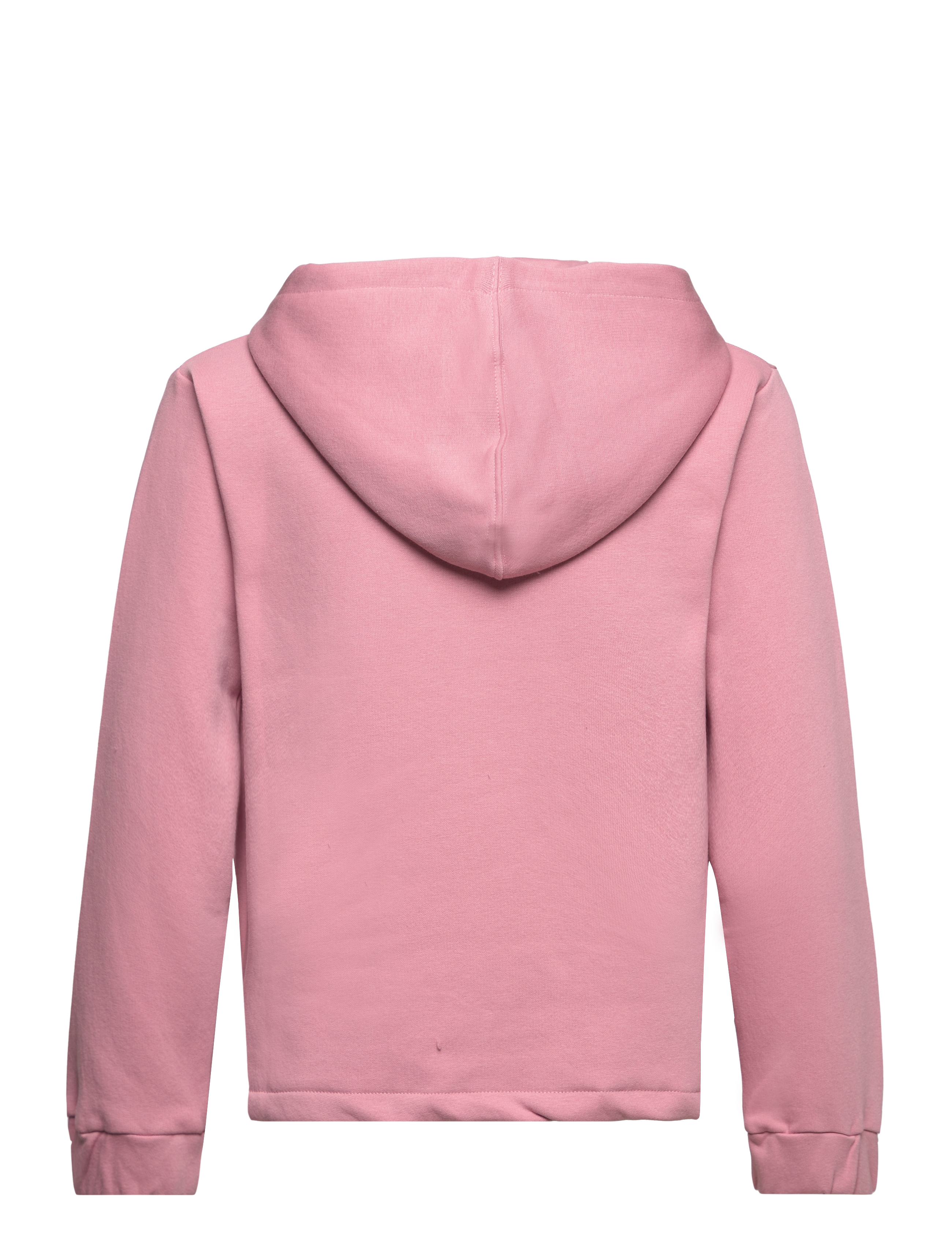 The New - TNBIRDY HOODIE - lilas - 1
