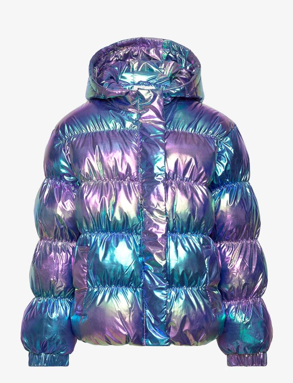 The New - TNDUFFY JACKET - winterjacke - metallic - 0