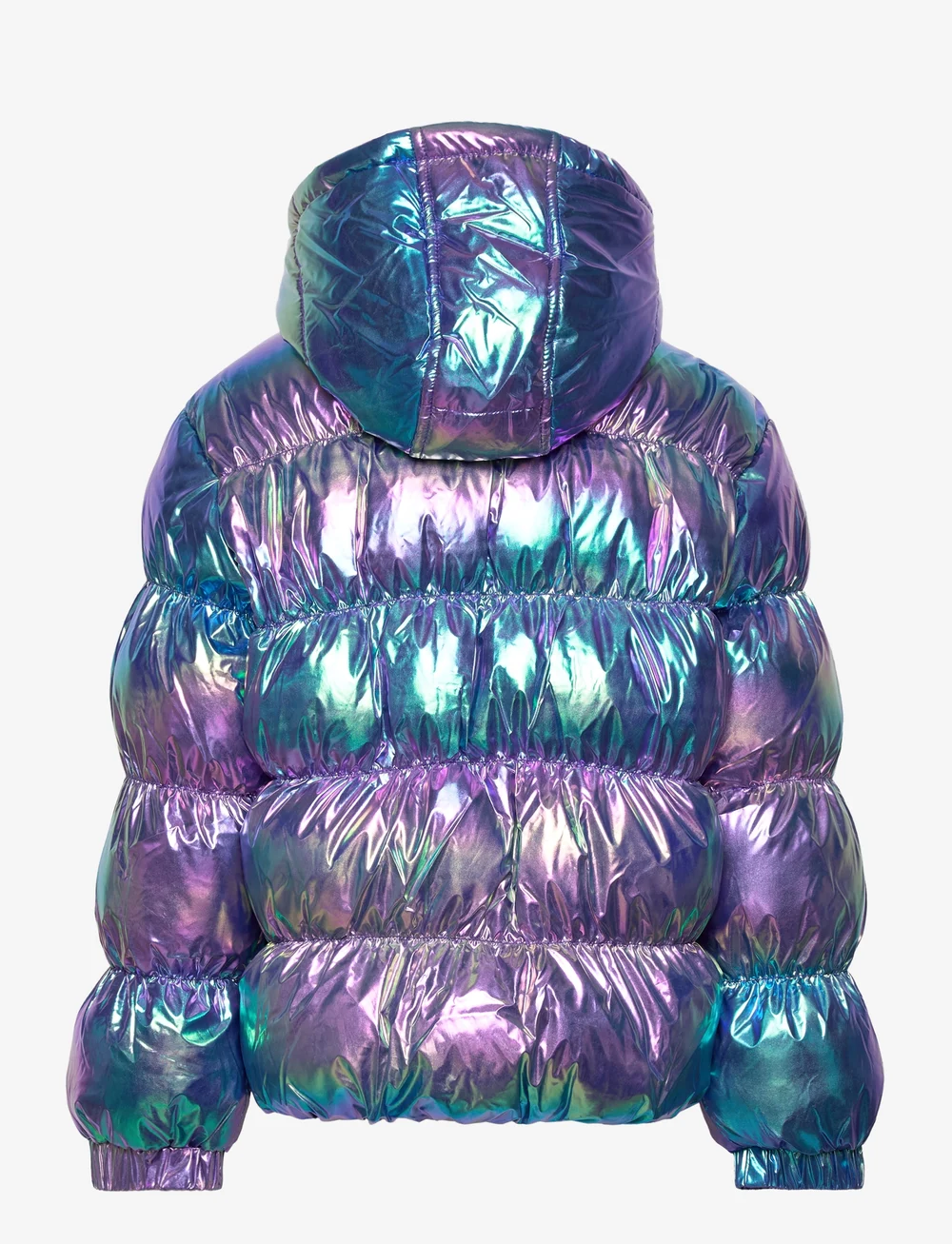 The New - TNDUFFY JACKET - winterjacke - metallic - 1