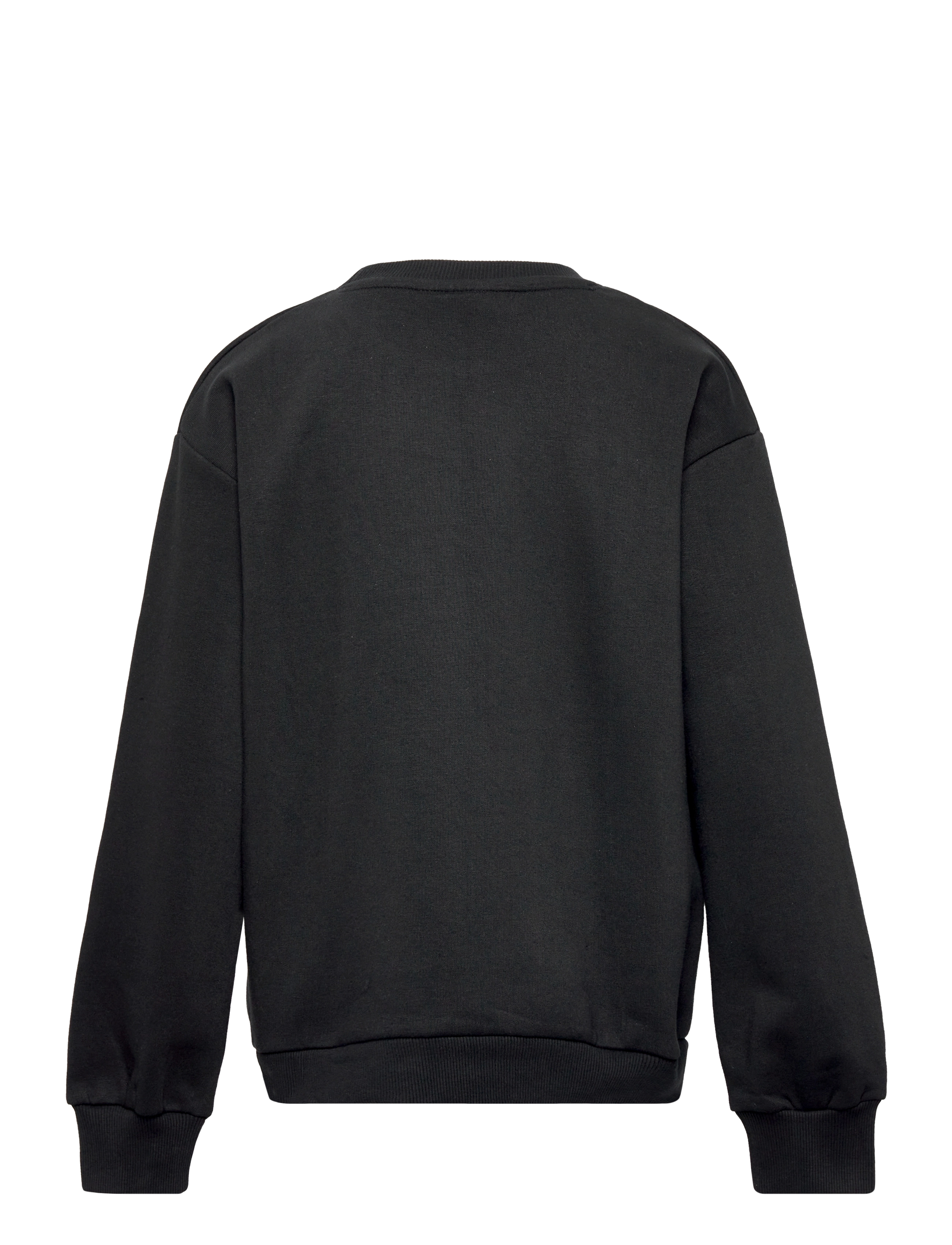 The New - TNDEVON OS SWEATSHIRT - black - 1