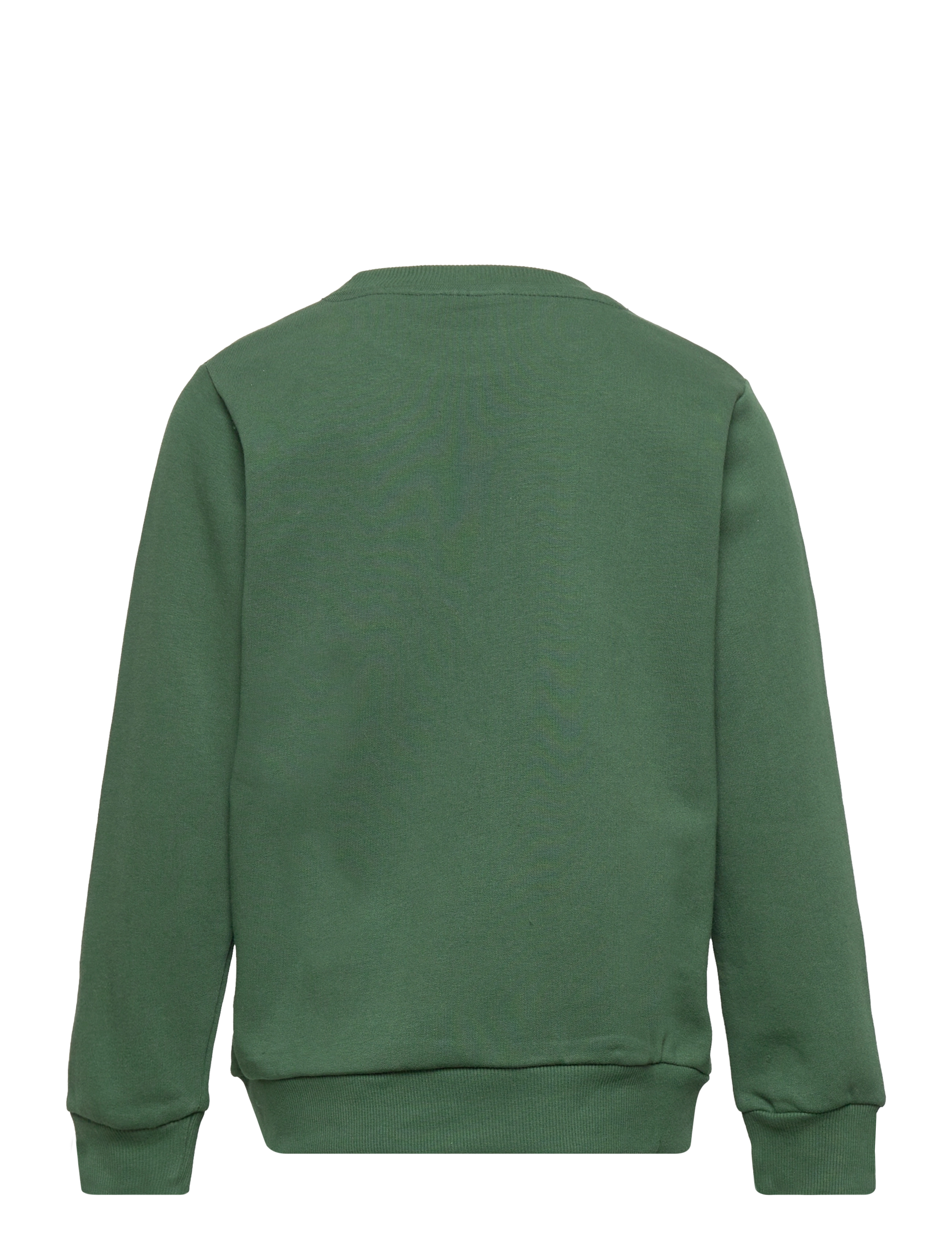 The New - TNDAVID SWEATSHIRT - garden topiary - 1