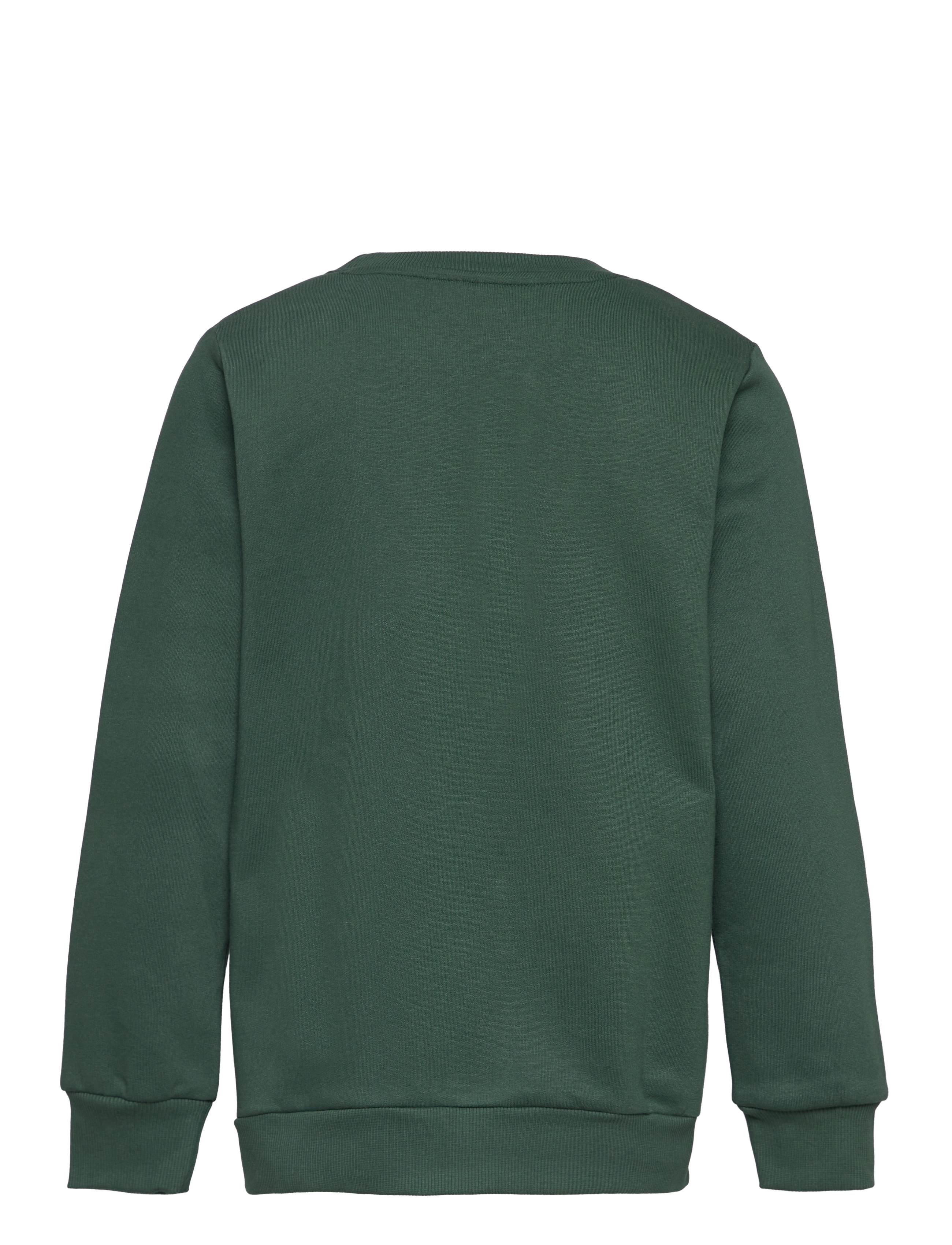 The New - TNDAVID SWEATSHIRT - sweatshirts - garden topiary - 1