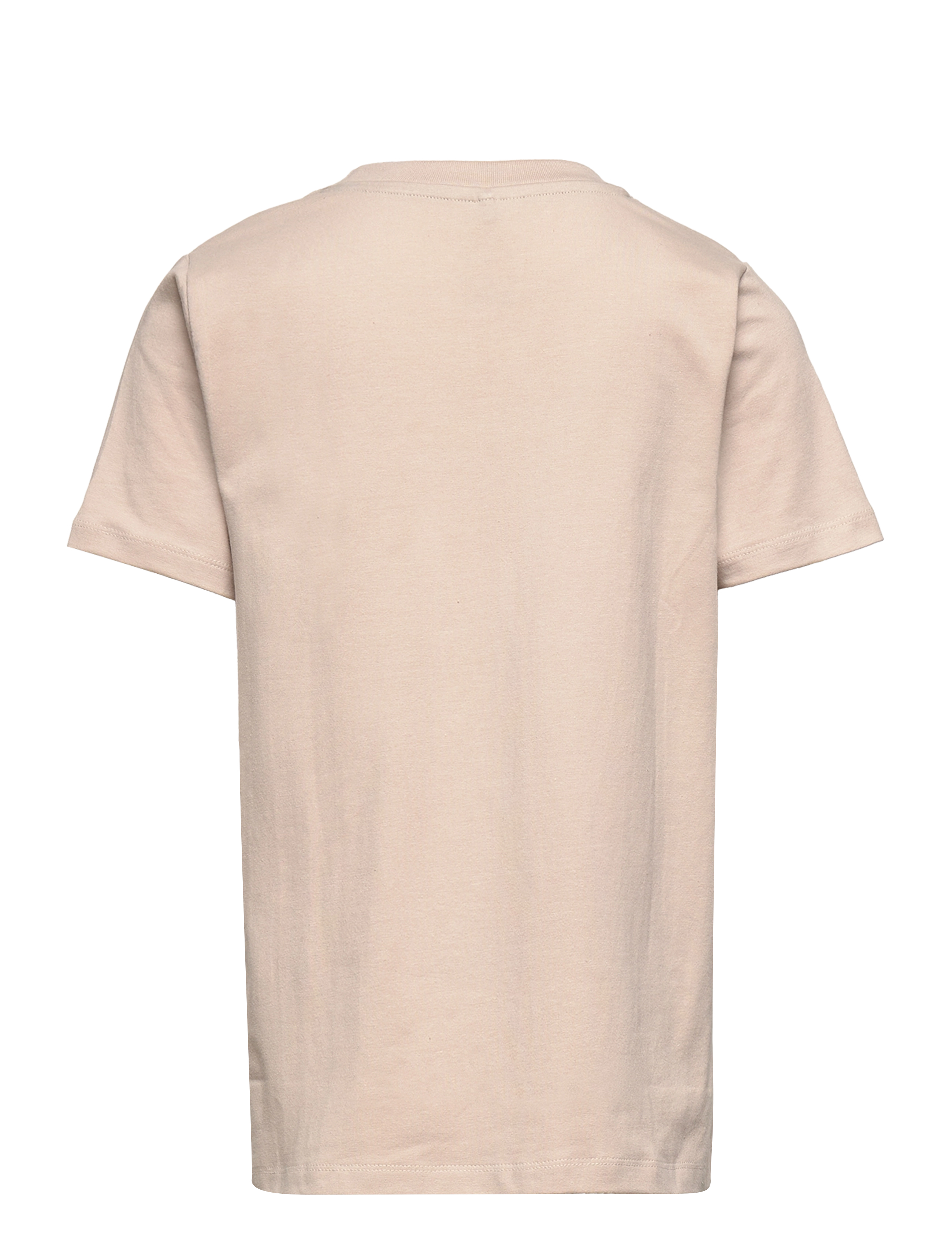 The New - TNDECLAN S_S TEE - chateau gray - 1